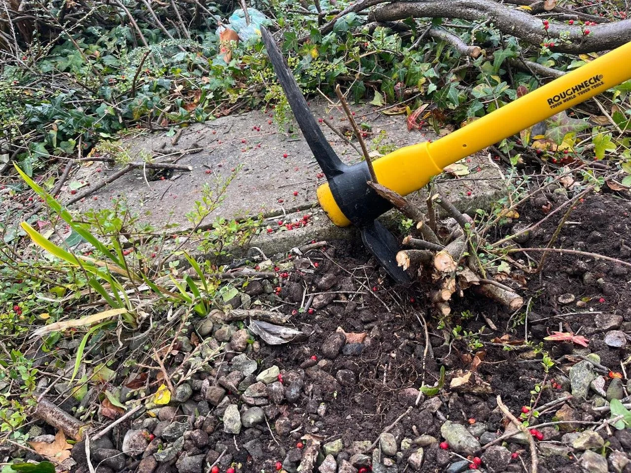 Safe and efficient shrub removal across North West England.