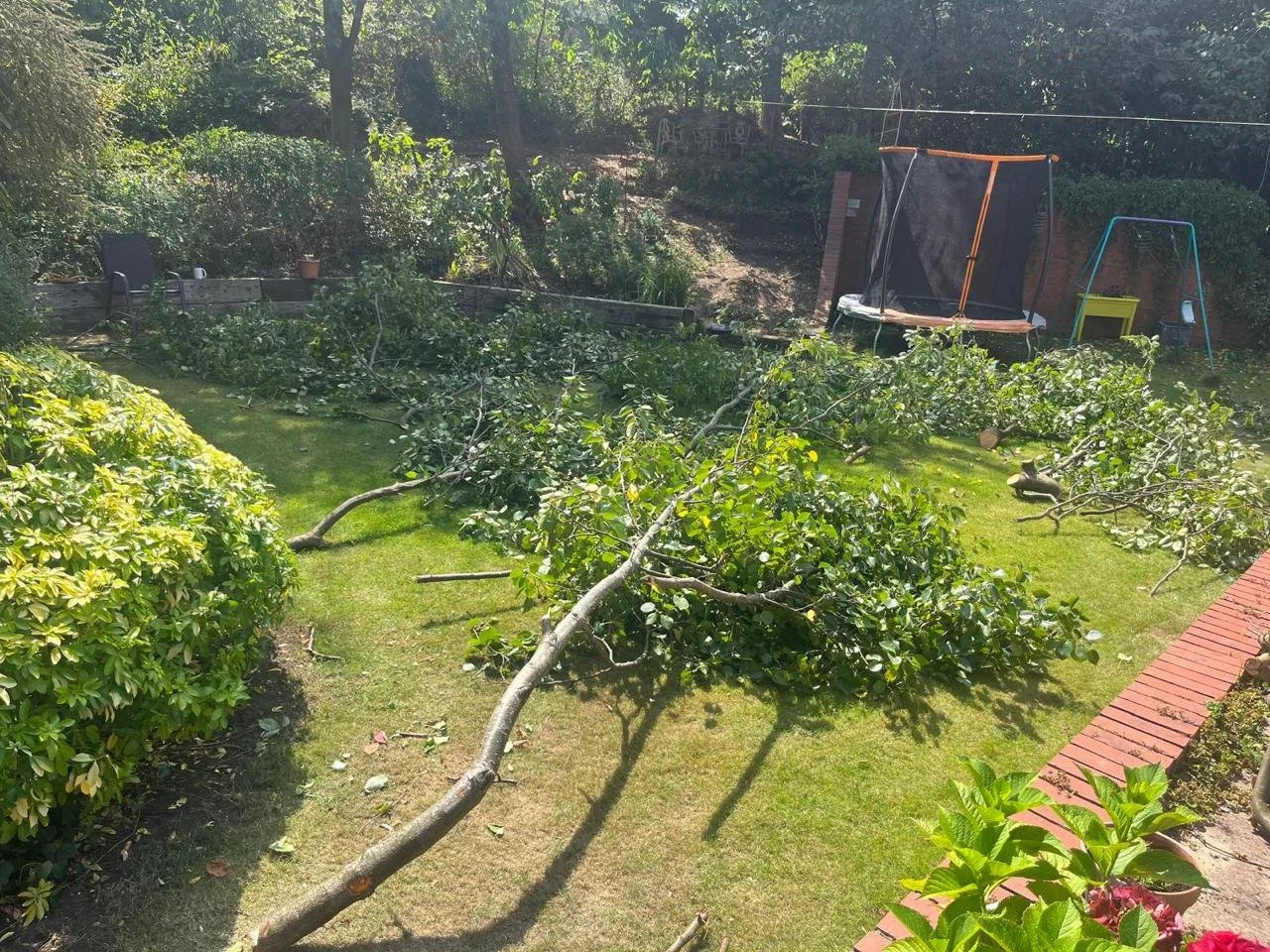 Emergency tree services for fallen or dangerous trees in Liverpool.
