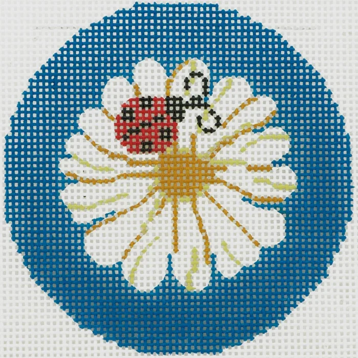 Colonial Needle - Ladybug on Daisy