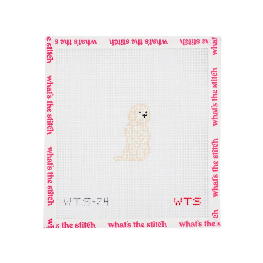 WTS - Mini Golden Doodle