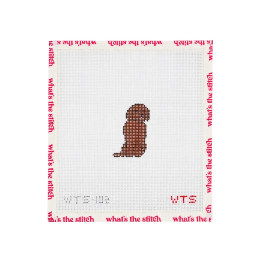 44 mini chocolate lab.webp