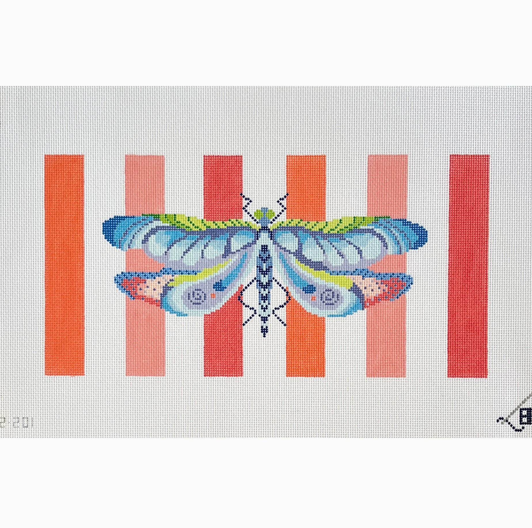 Blueberry Point Dragonfly with Stripes