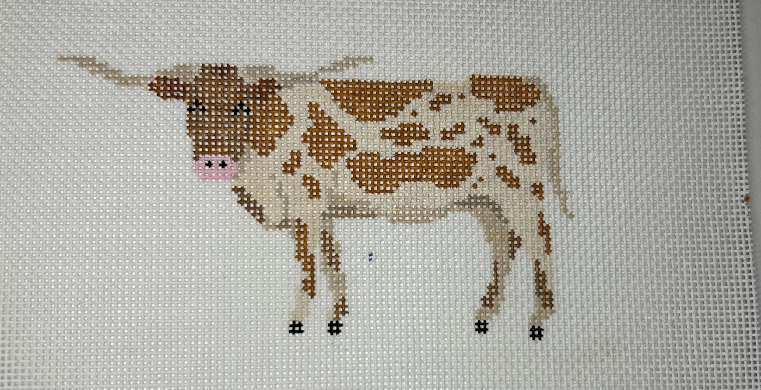 Anna Dugas Longhorn