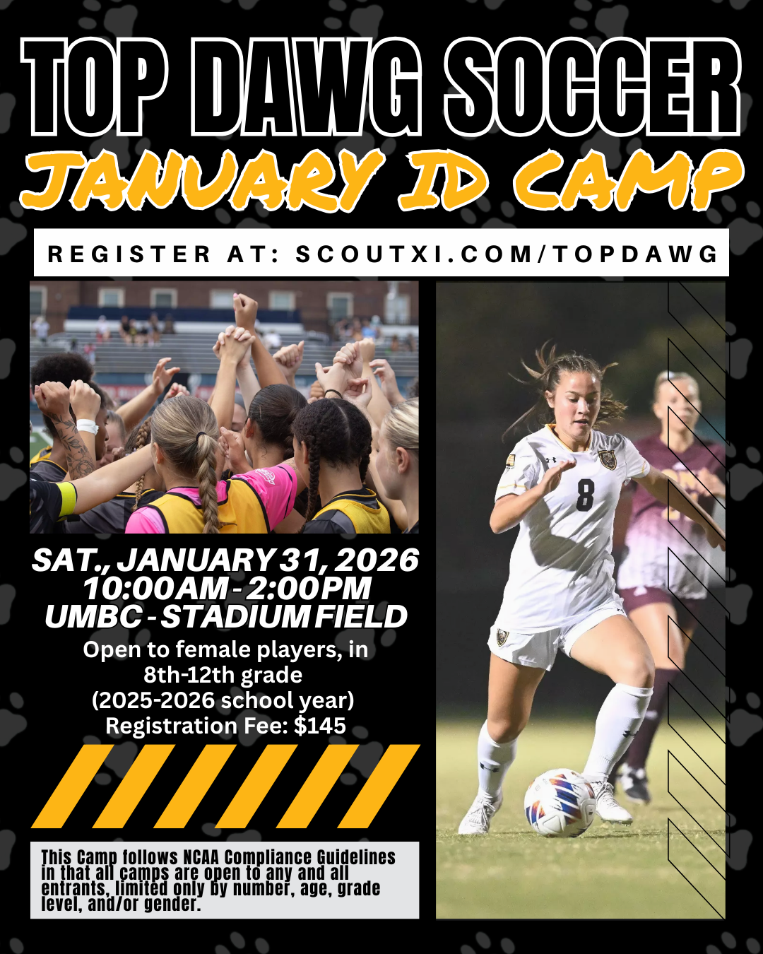 SCOUTXI CAMP FLYERS (2).png
