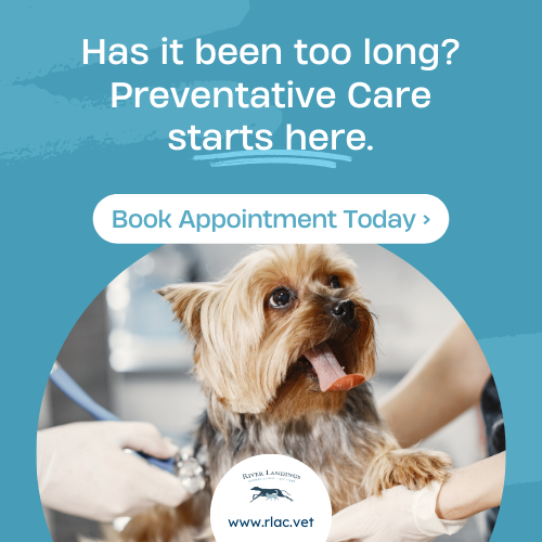 20240819_rlac_prevcare1.png