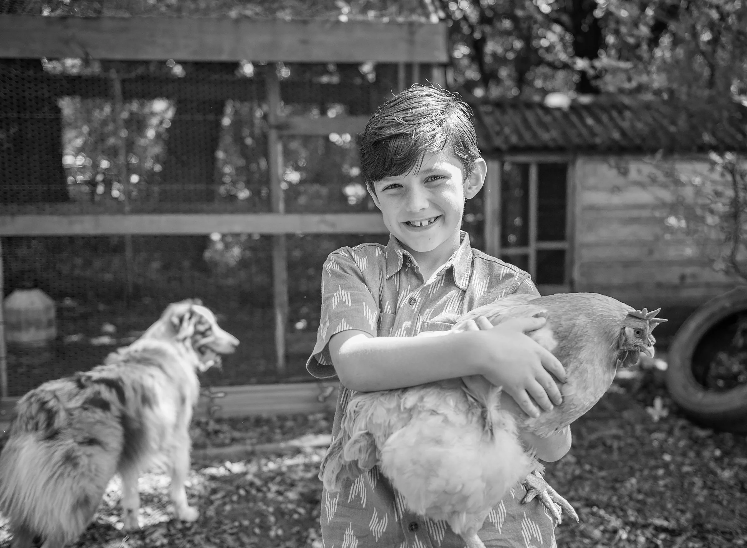 Young boy holding a chicken with dog and chicken coop in background