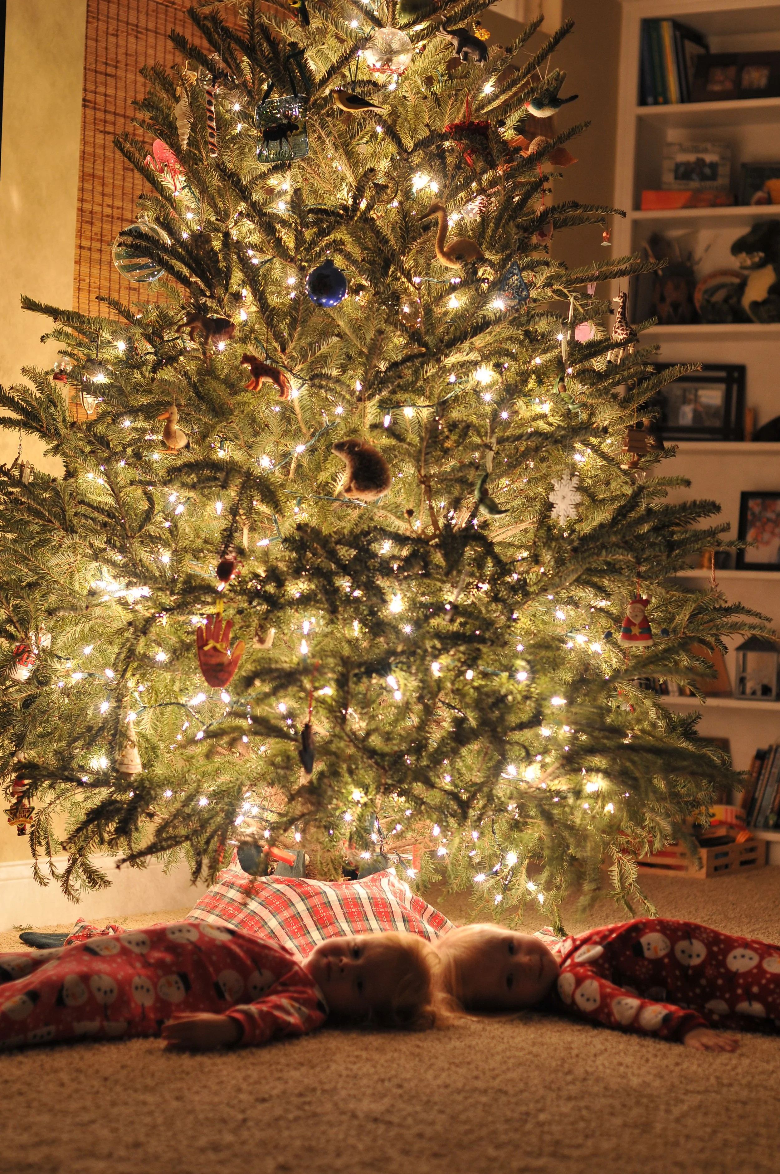 holiday-memories-13.JPG