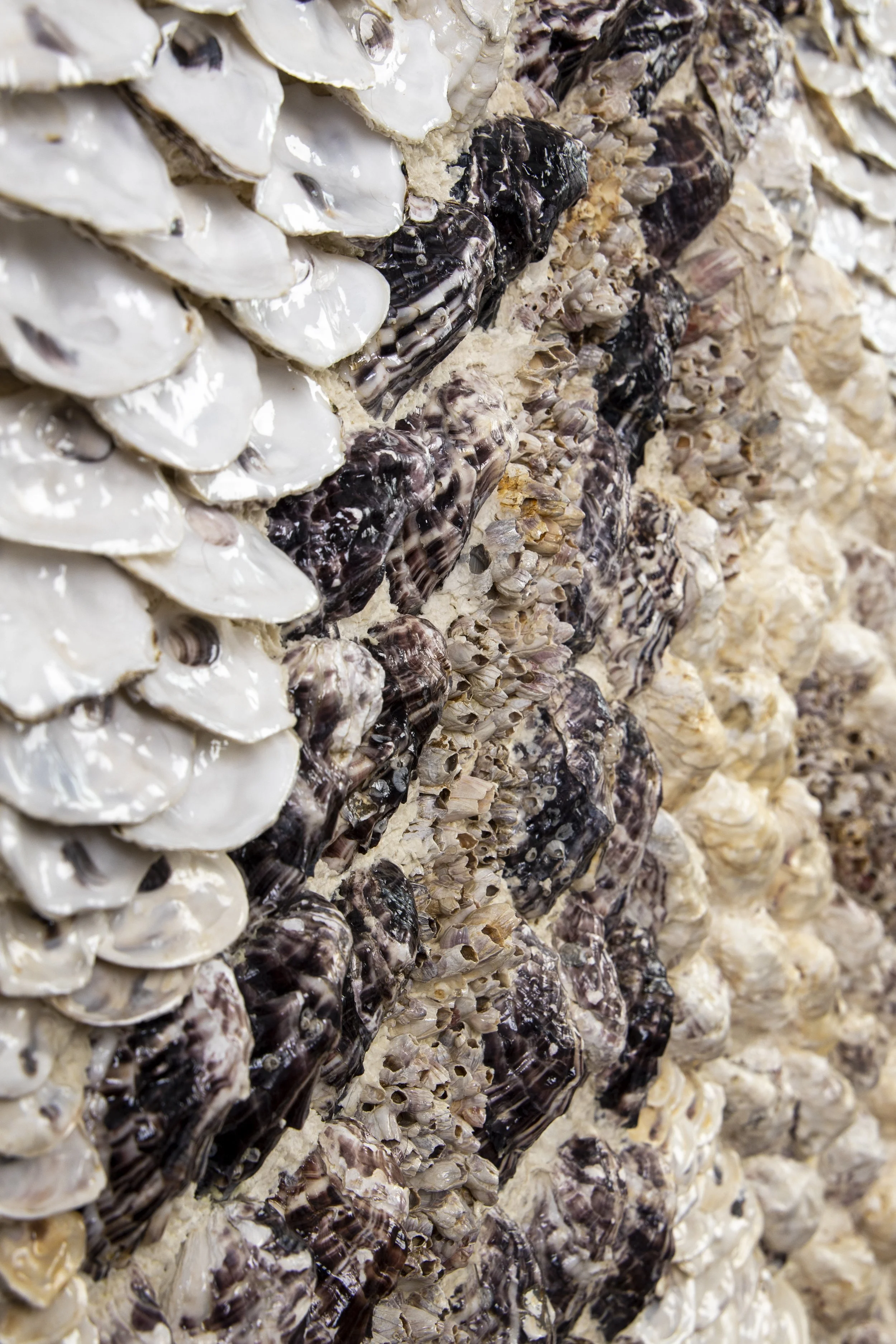 BLUE DNA - Dana Shell Art