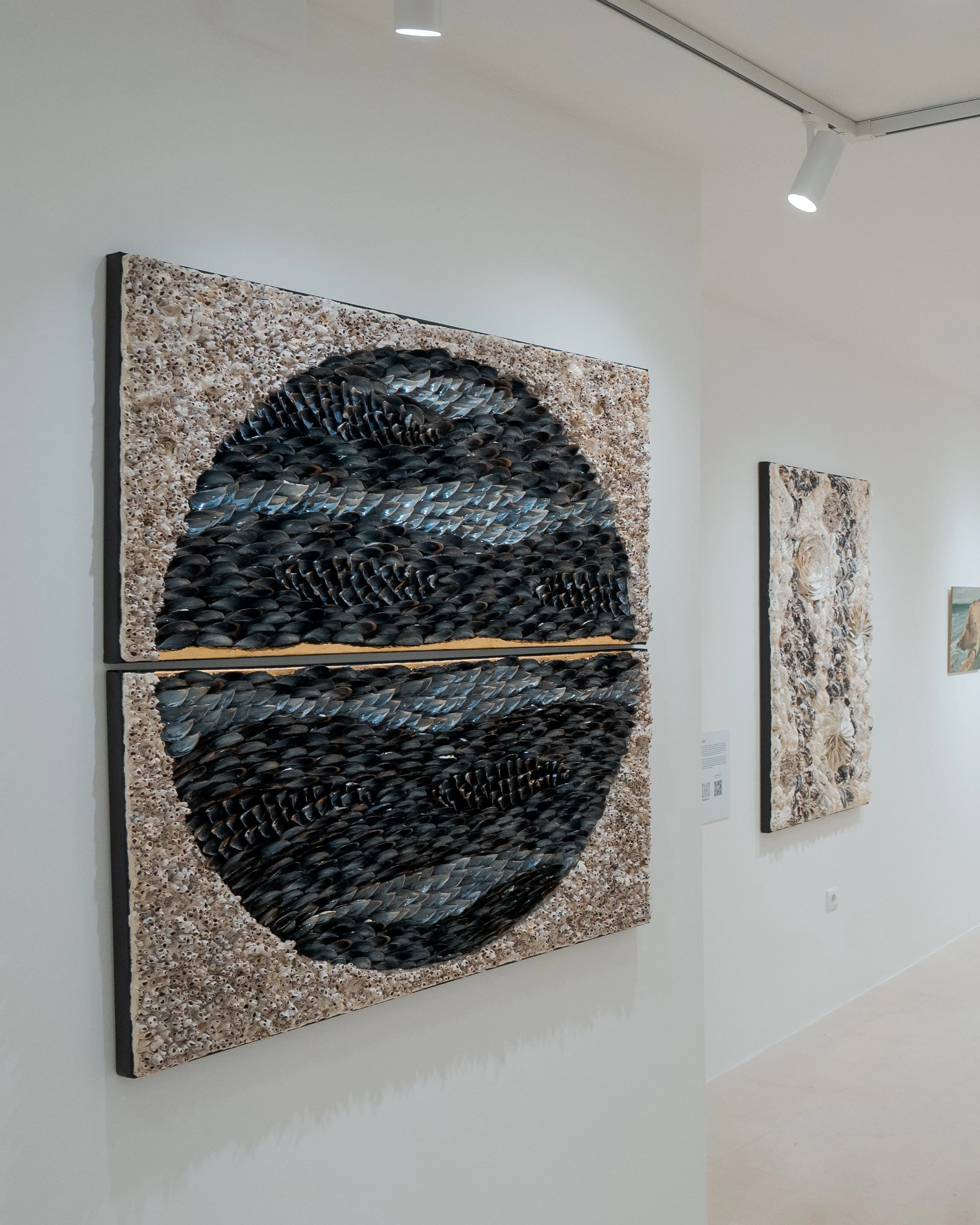 Original blue mussel shells and gold leaf, oyster seashells artworks