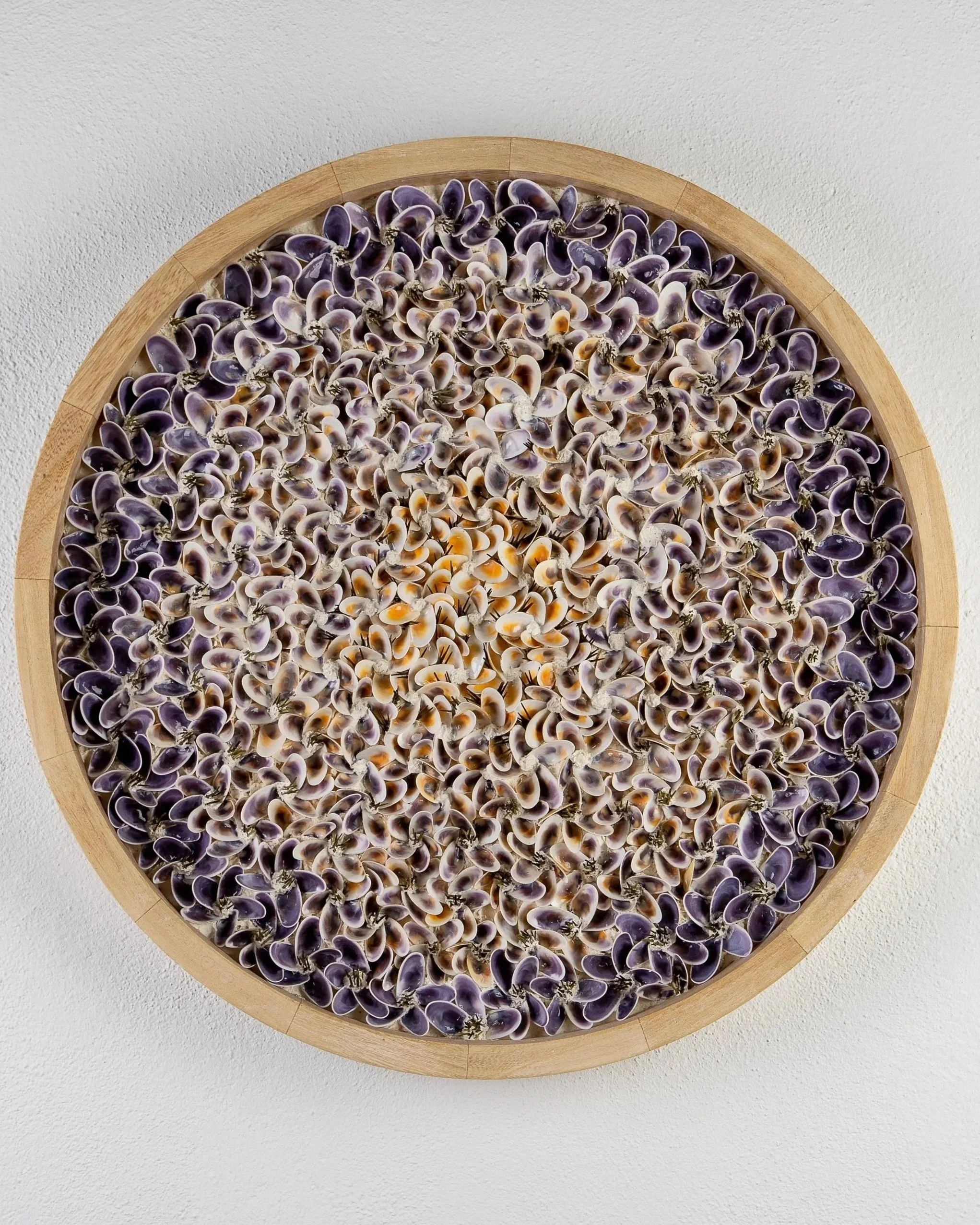 A circular wooden frame filled with numerous small purple, white and orange seashells, arranged in a floral design pattern, mounted on a white wall.