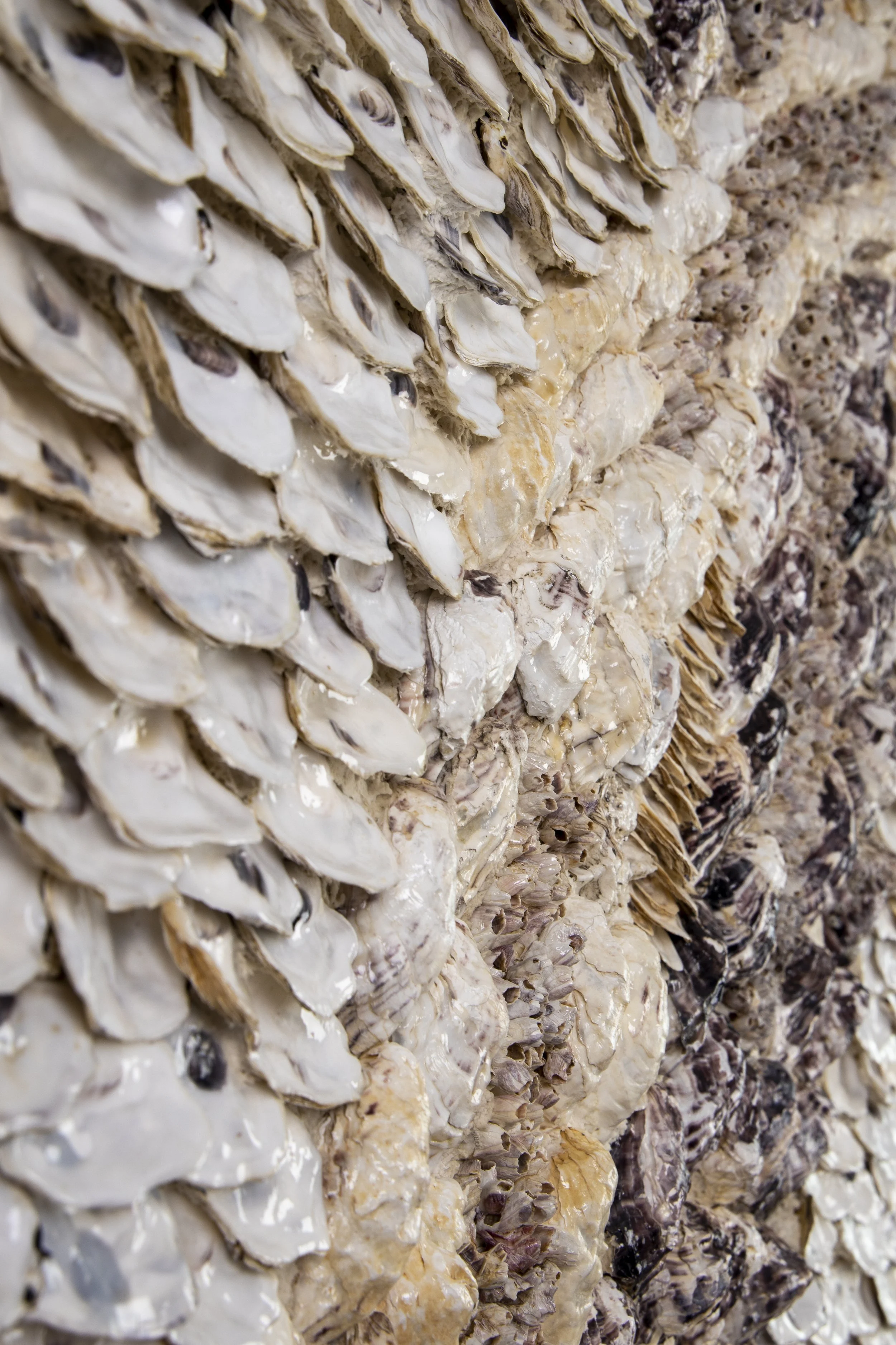 BLUE DNA - Dana Shell Art