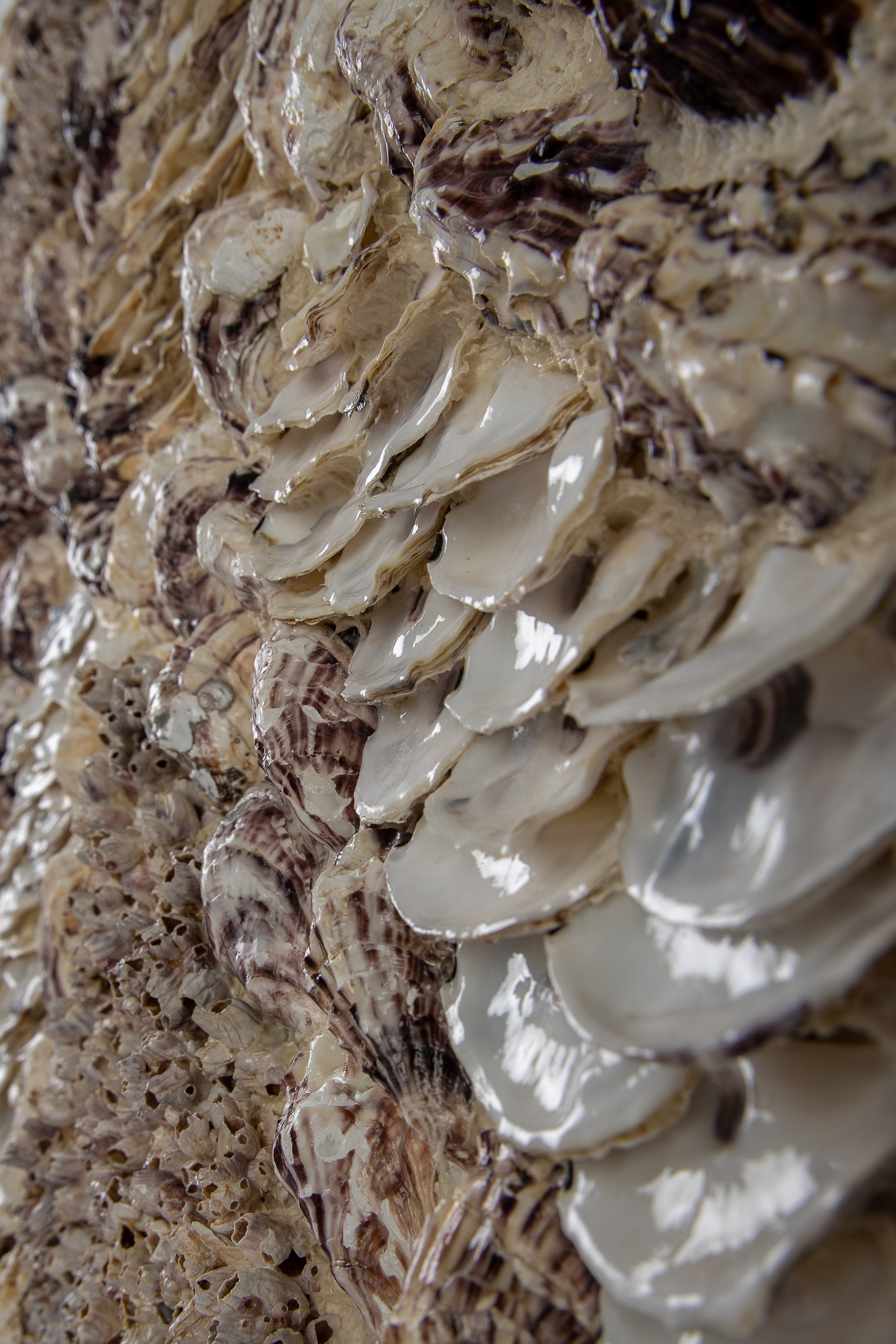 STORM - Dana Shell Art