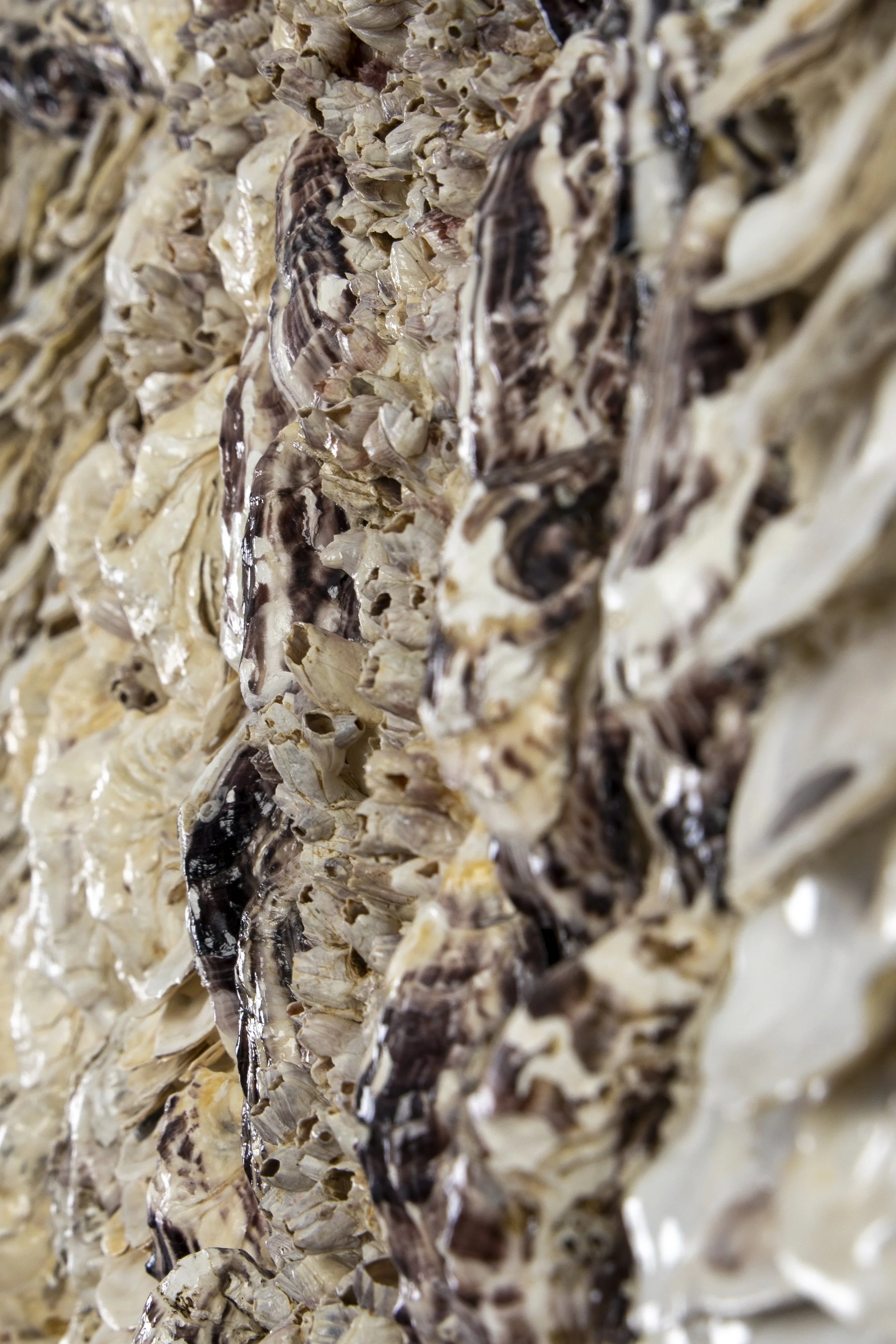 BLUE DNA - Dana Shell Art