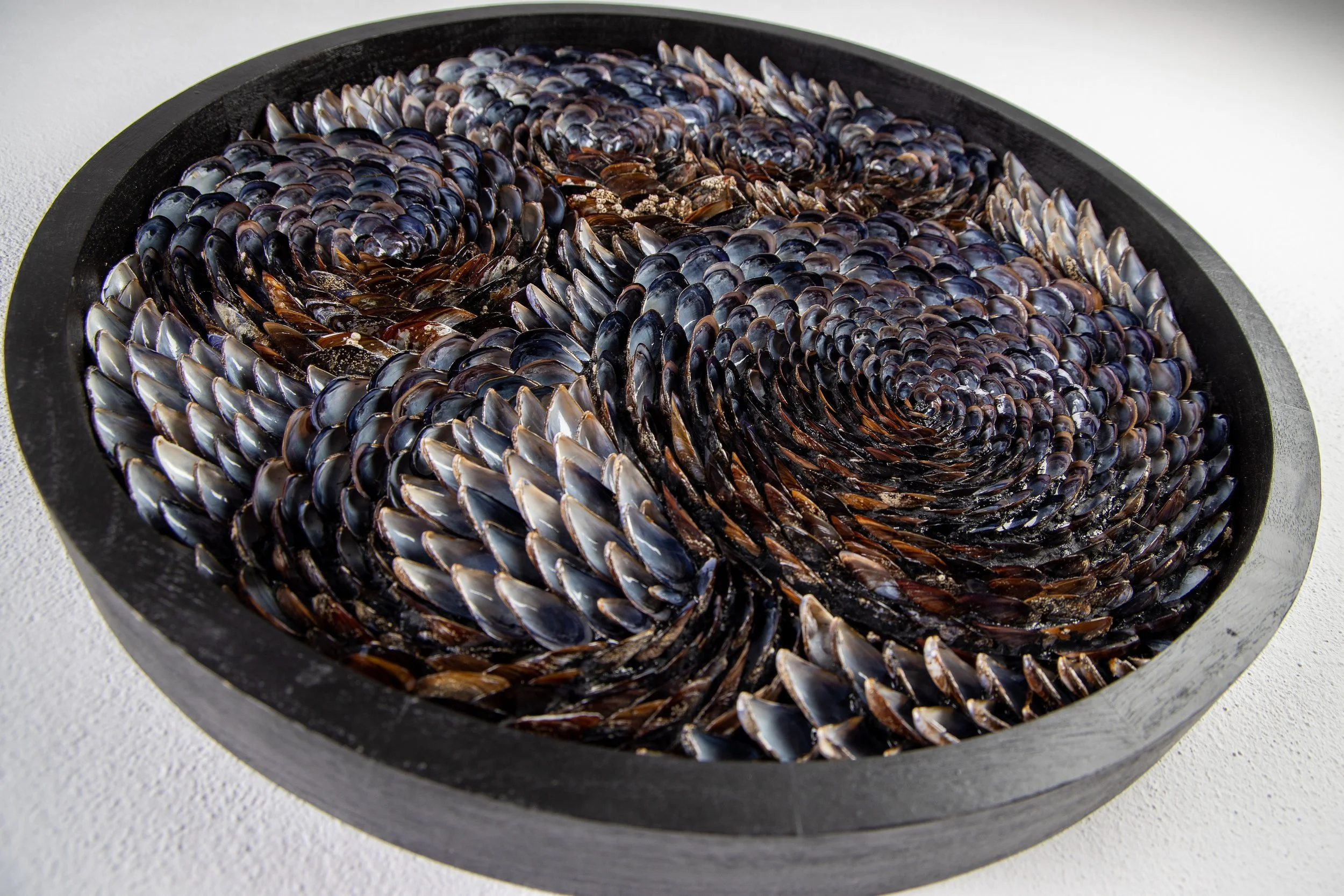 mussel-shell-wall-art-obsidian-tides.jpg
