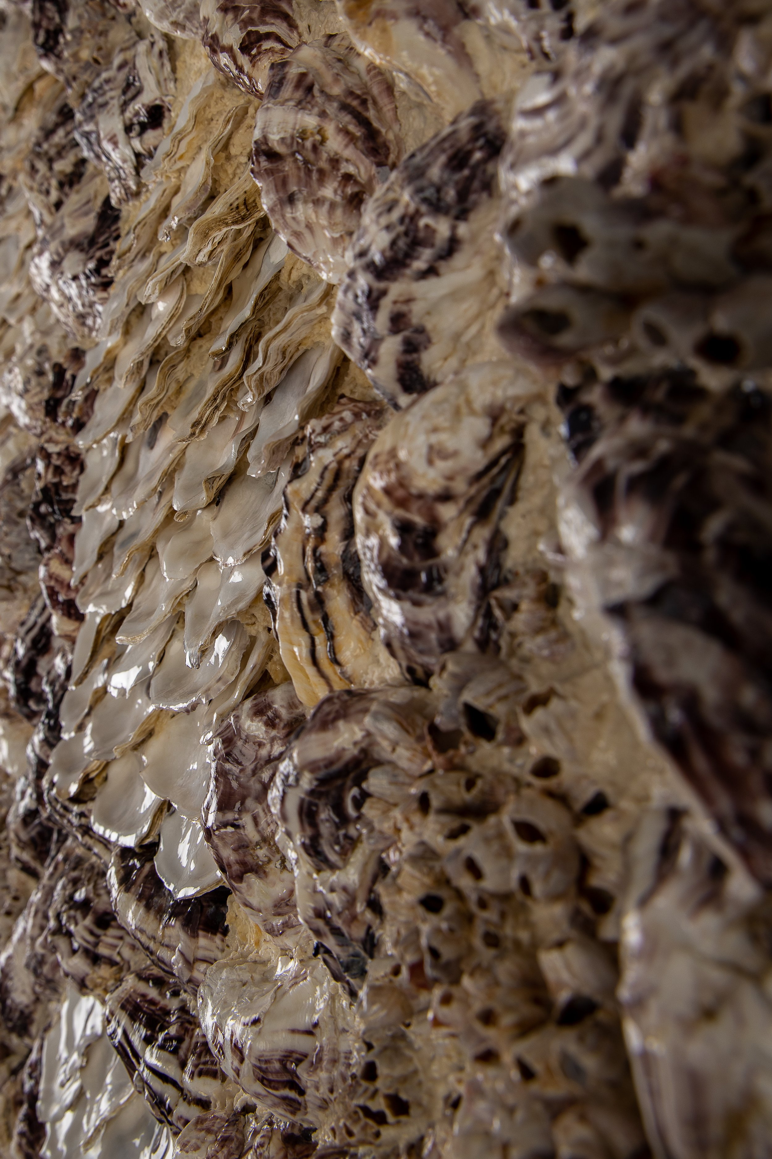 STORM - Dana Shell Art