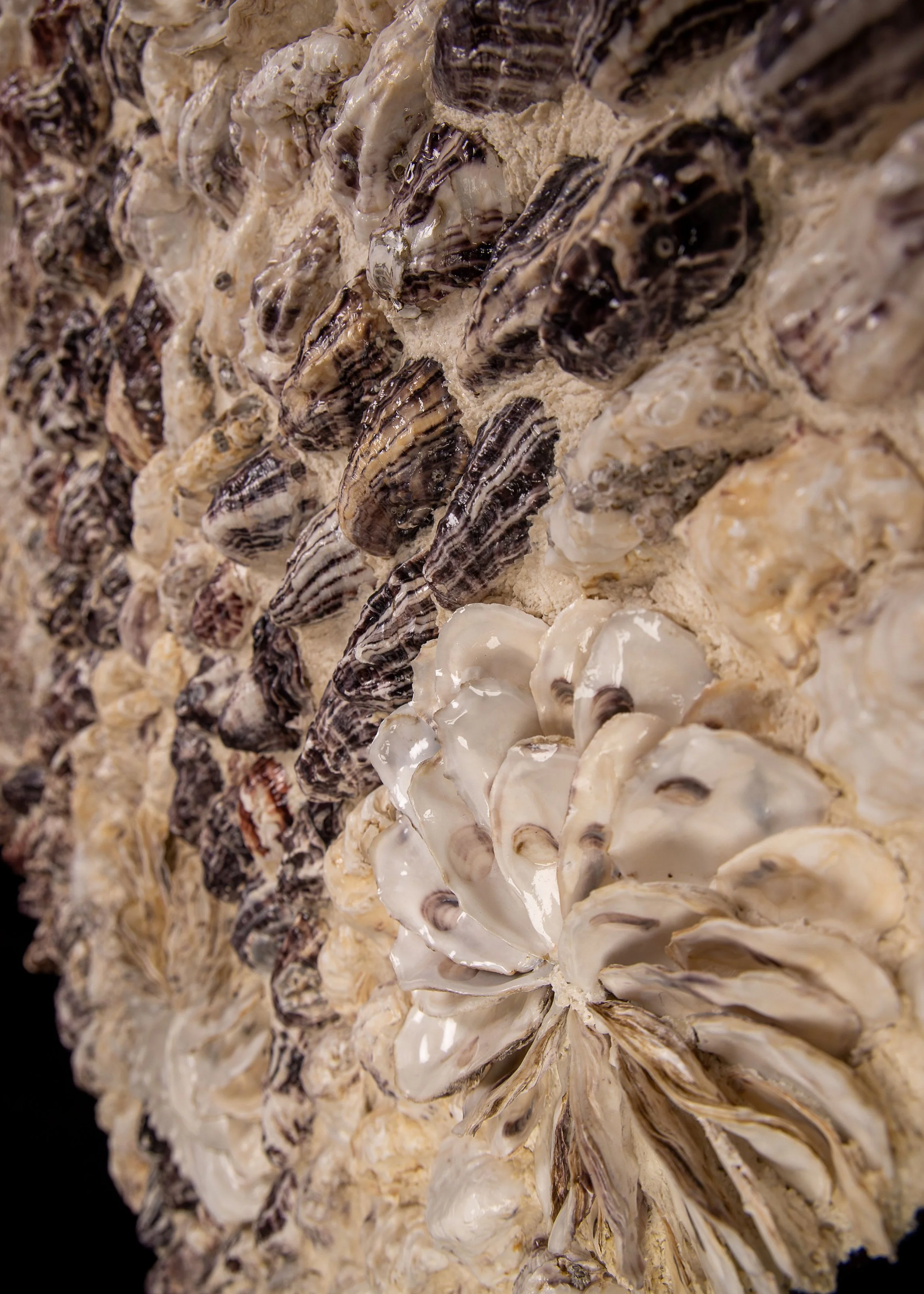 BETWEEN TIDES (RESERVED ) - Dana Shell Art