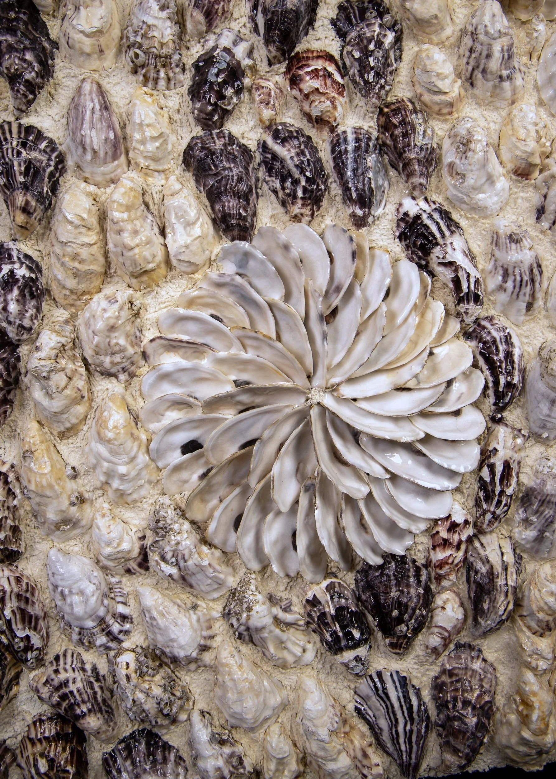 BETWEEN TIDES (RESERVED ) - Dana Shell Art