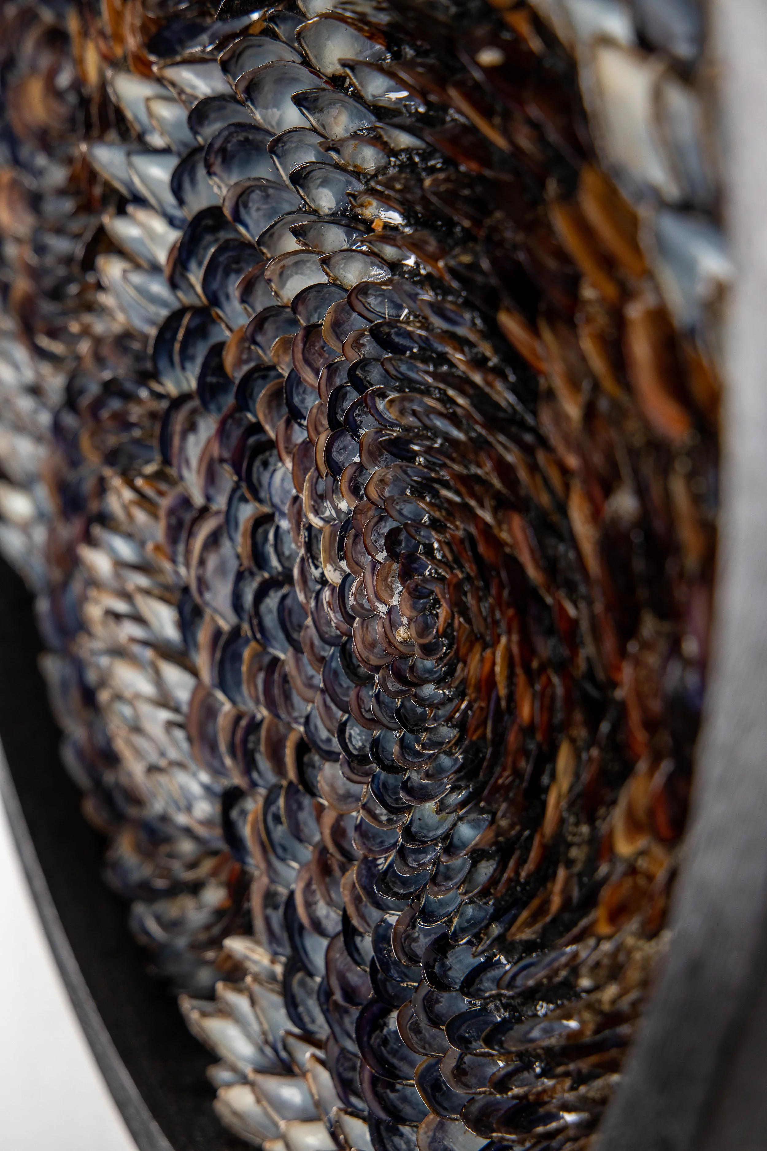 obsidian-tides-one-of-a-kind-shell-wall-art.jpg