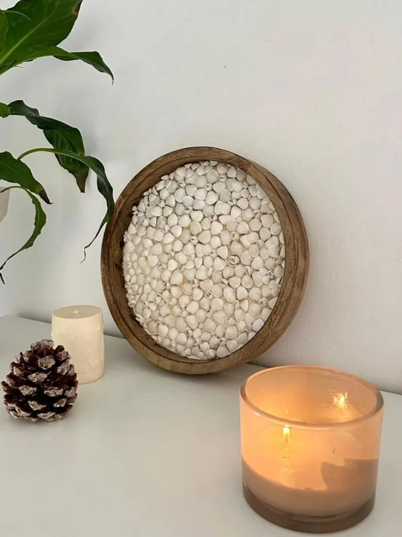 Decorative tabletop arrangement including a potted green plant, a pinecone, a lit candle, a round seashell artwork,made with white shells, and a reed diffuser on a white surface against a plain white wall.