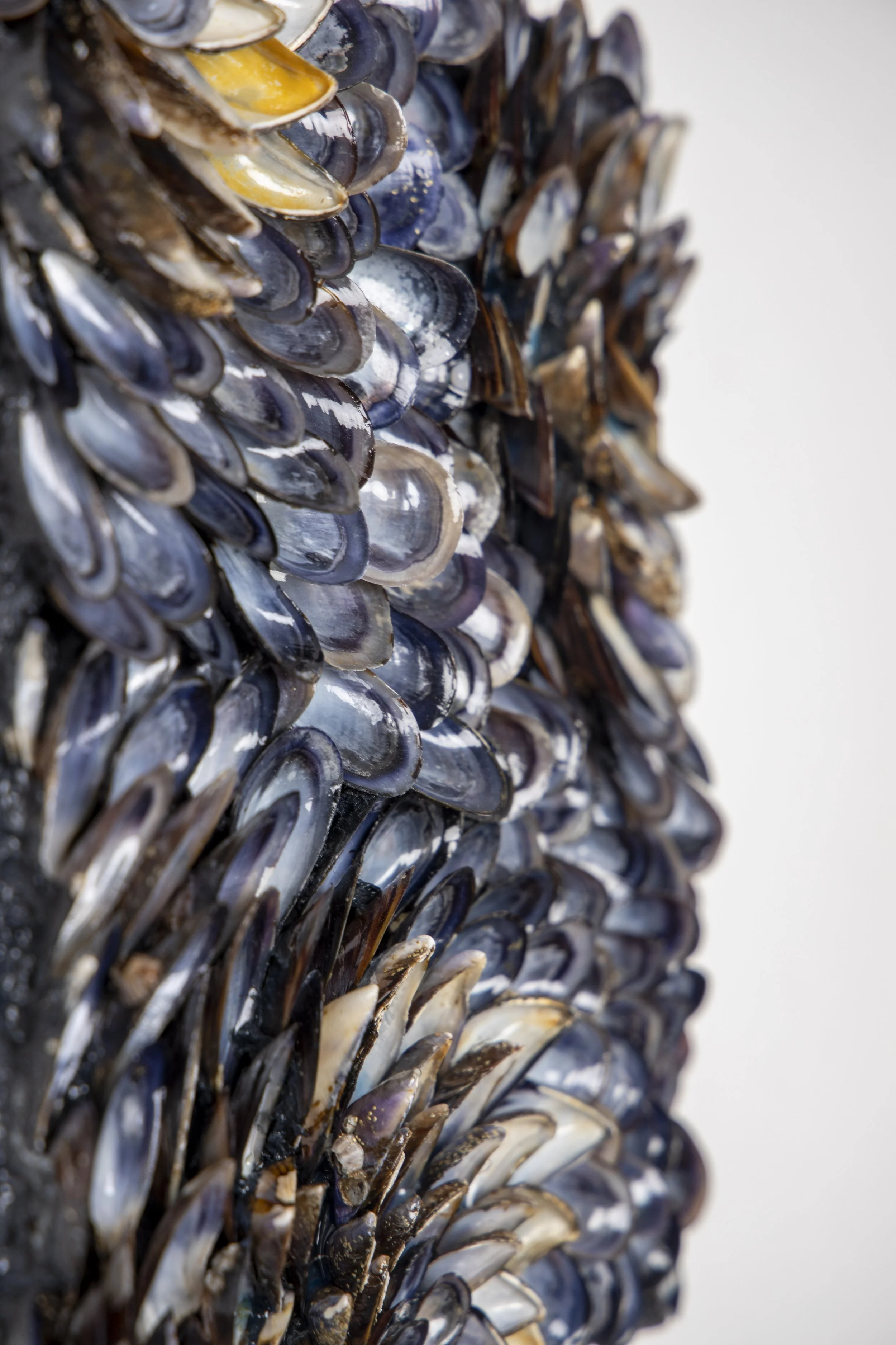 DREAMS I - AWAKENING - Dana Shell Art