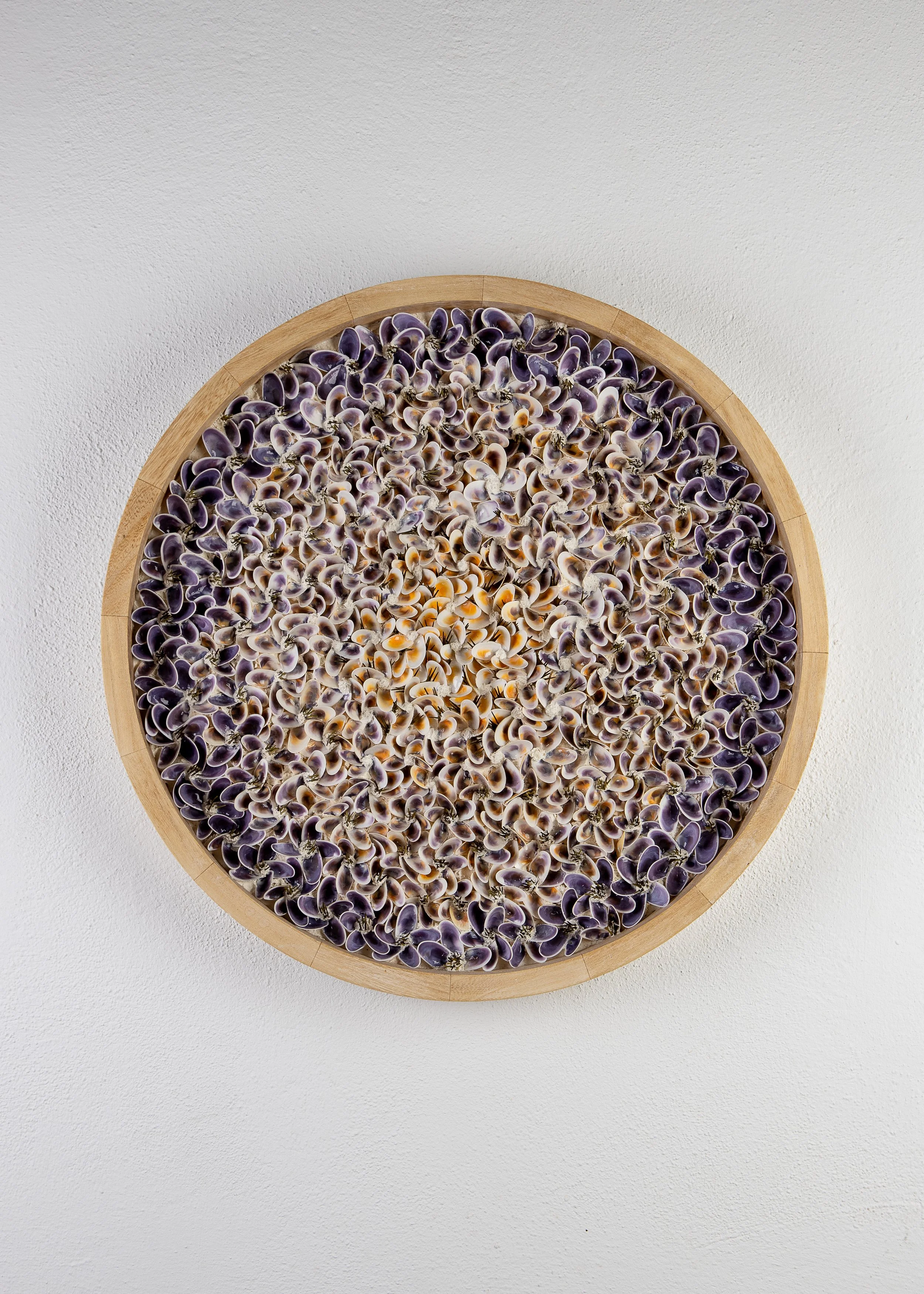 Exclusive Seashell Art — Nature Meets Contemporary Design