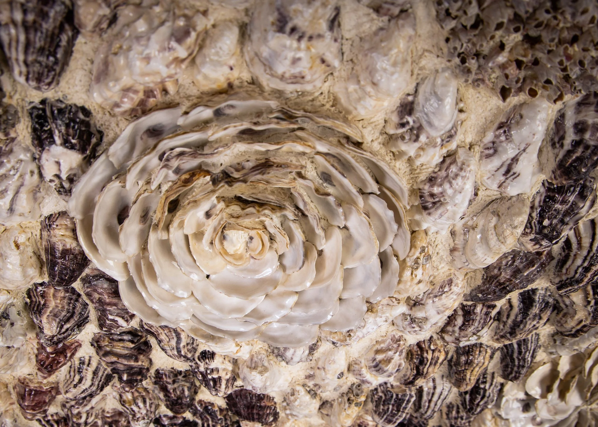 BETWEEN TIDES (RESERVED ) - Dana Shell Art