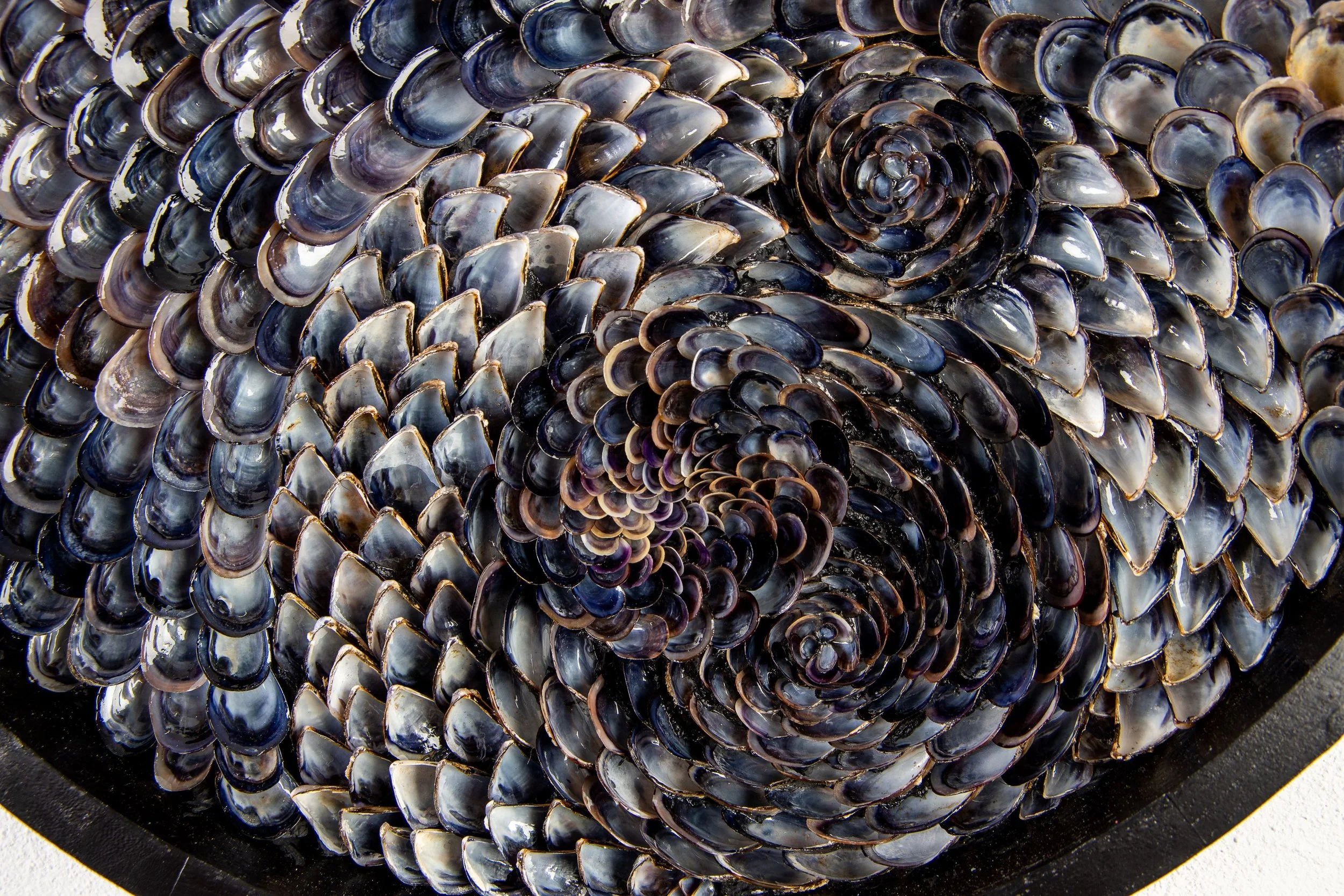 mussel shell art- Midnight Tides.jpg