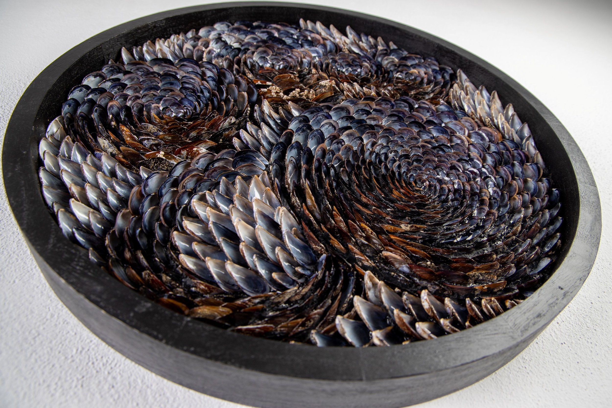 obsidian tides-blue shell art-interior design.jpg