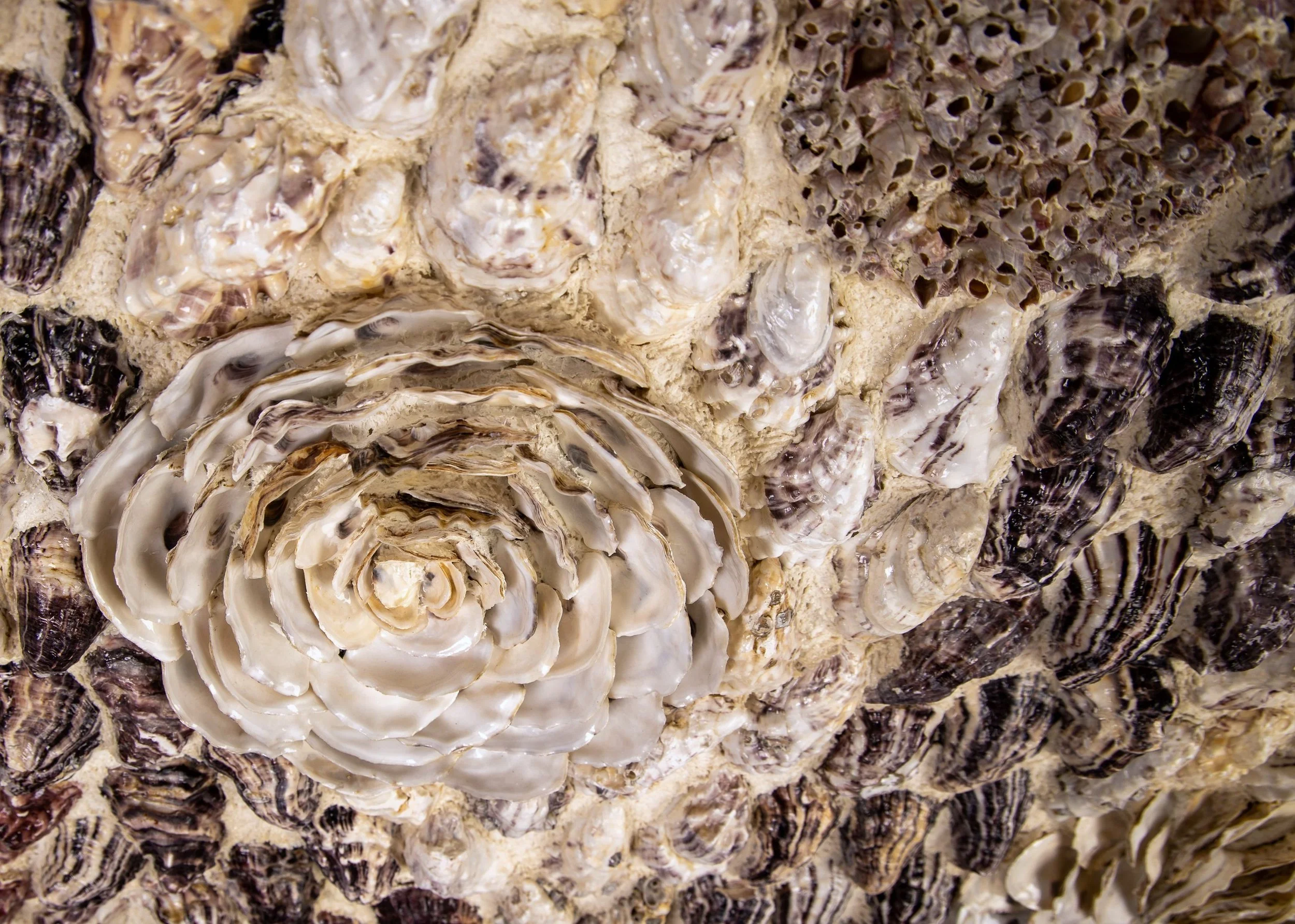 BETWEEN TIDES (RESERVED ) - Dana Shell Art