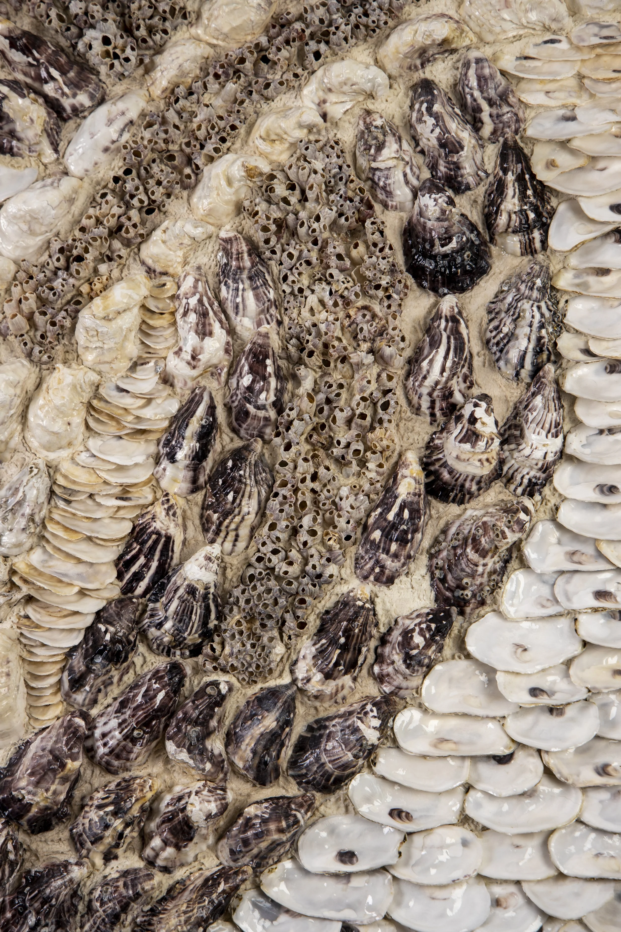 BLUE DNA - Dana Shell Art