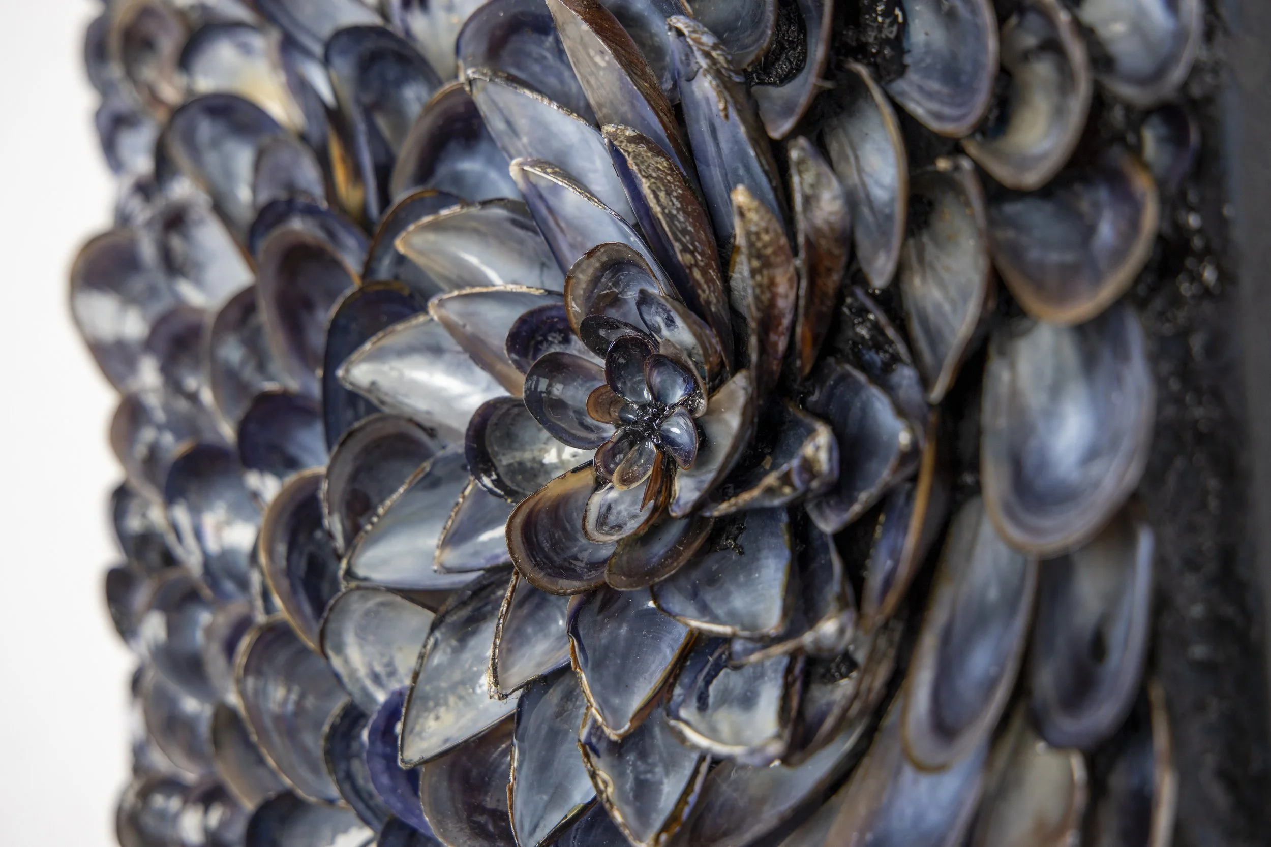 Contemporary wall art made from dark mussel shells with sleek coastal tones