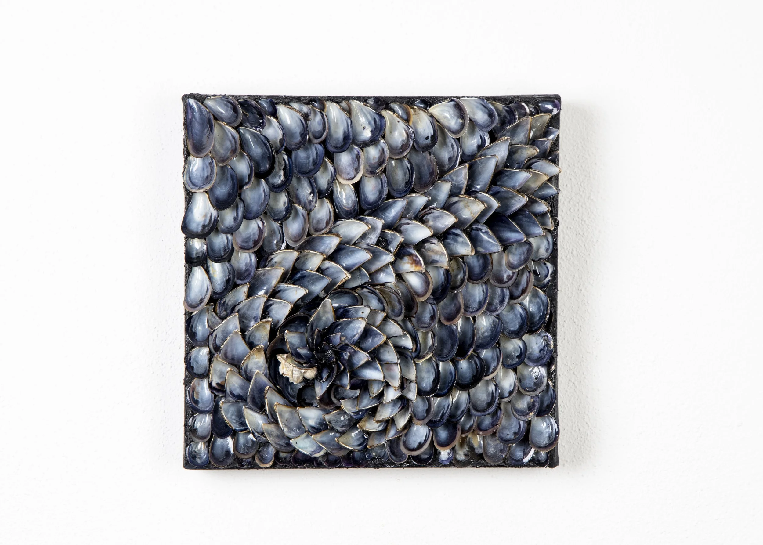 DREAMS II - DRIFT - Dana Shell Art