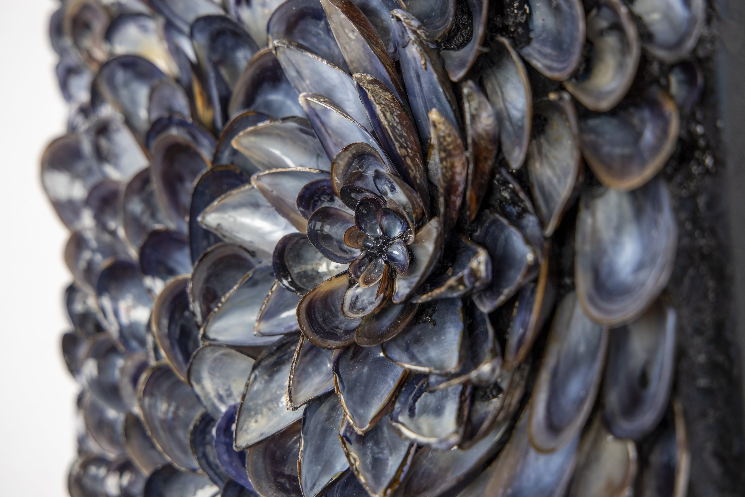 DREAMS III - BECOMING - Dana Shell Art