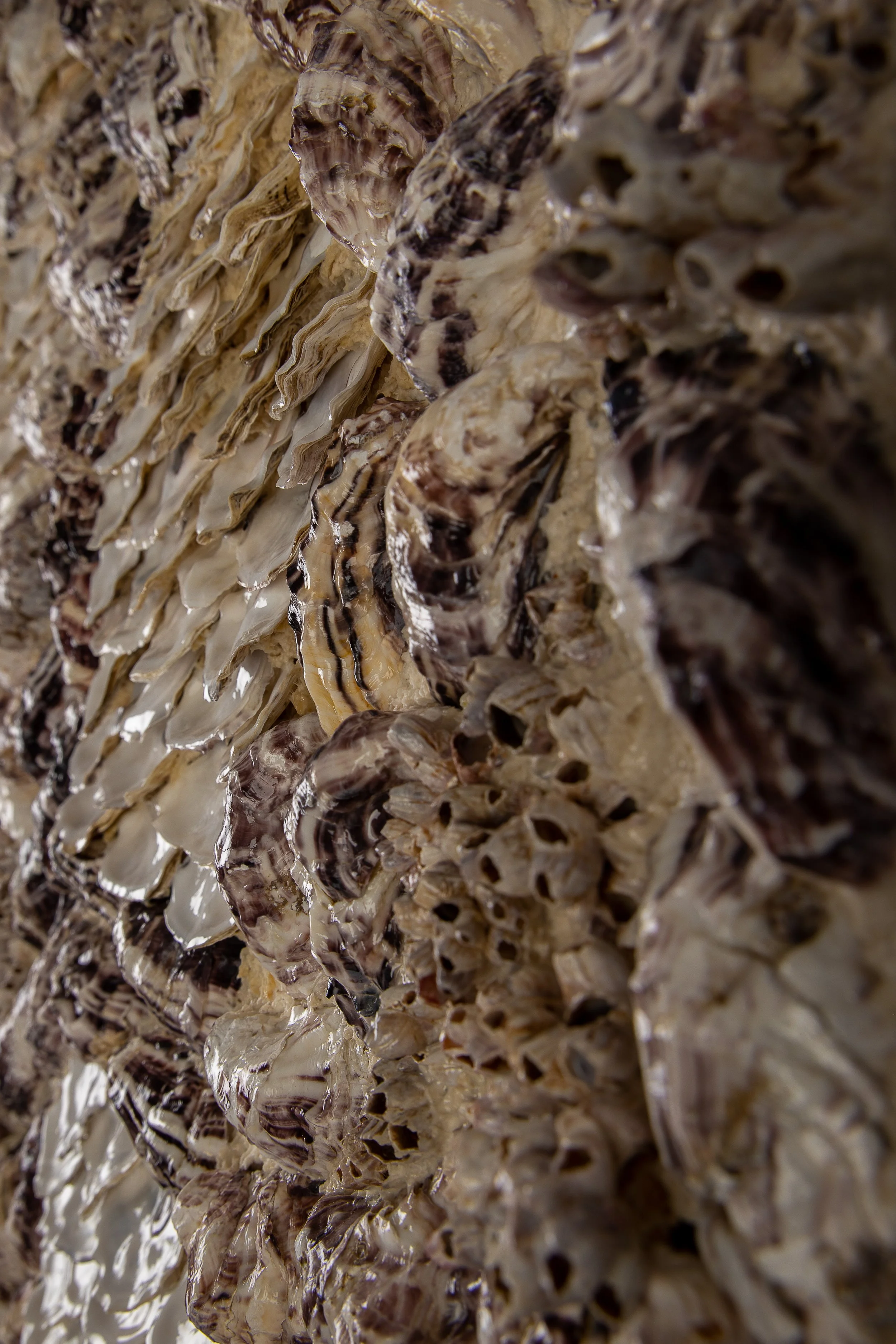 STORM - Dana Shell Art