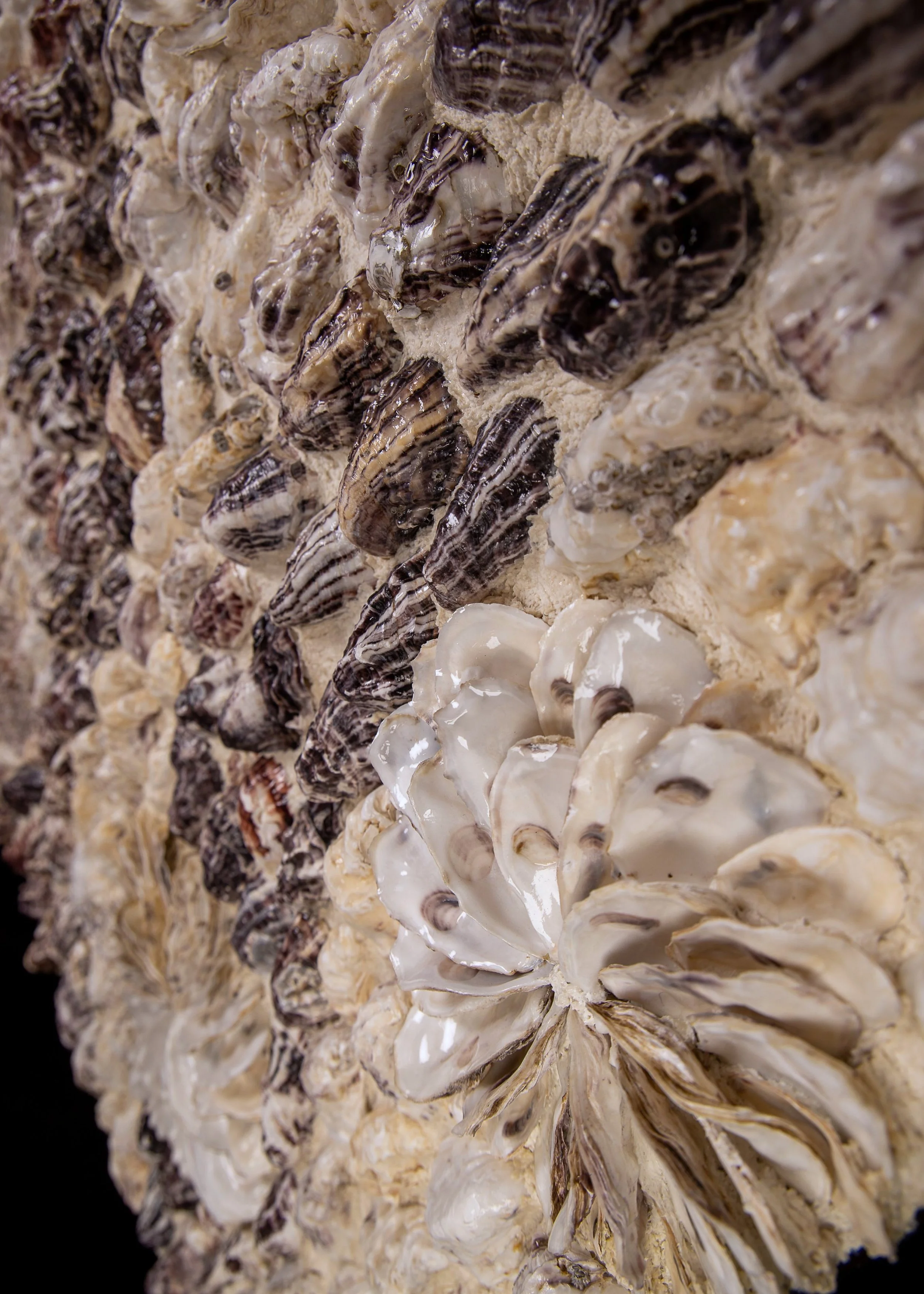 BETWEEN TIDES (RESERVED ) - Dana Shell Art