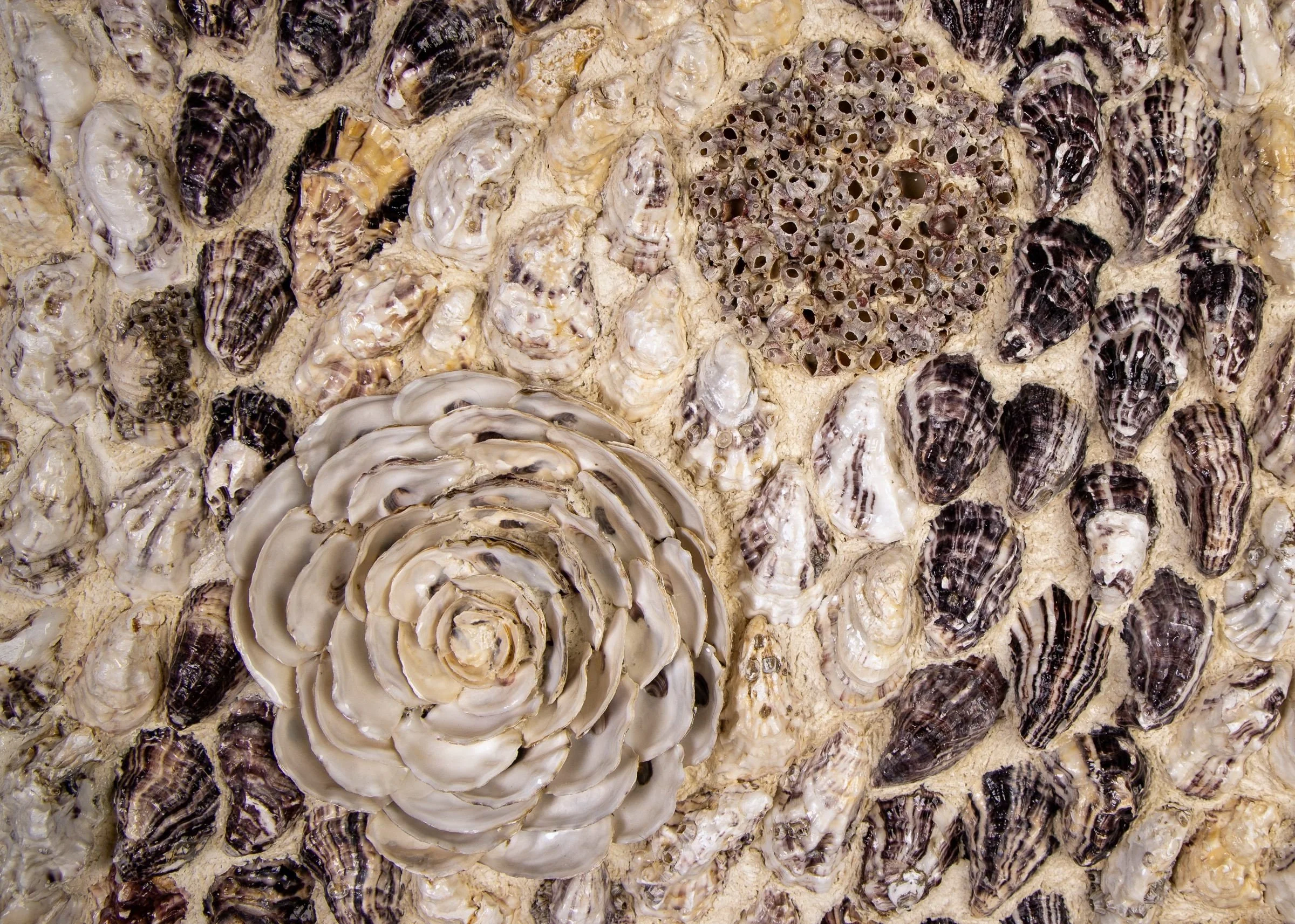 BETWEEN TIDES (RESERVED ) - Dana Shell Art