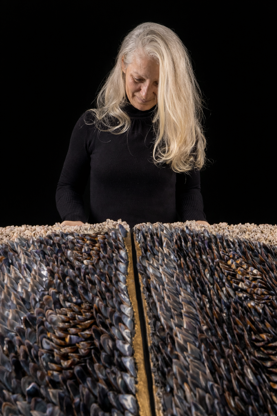 BLUE SUNDOWN - Dana Shell Art