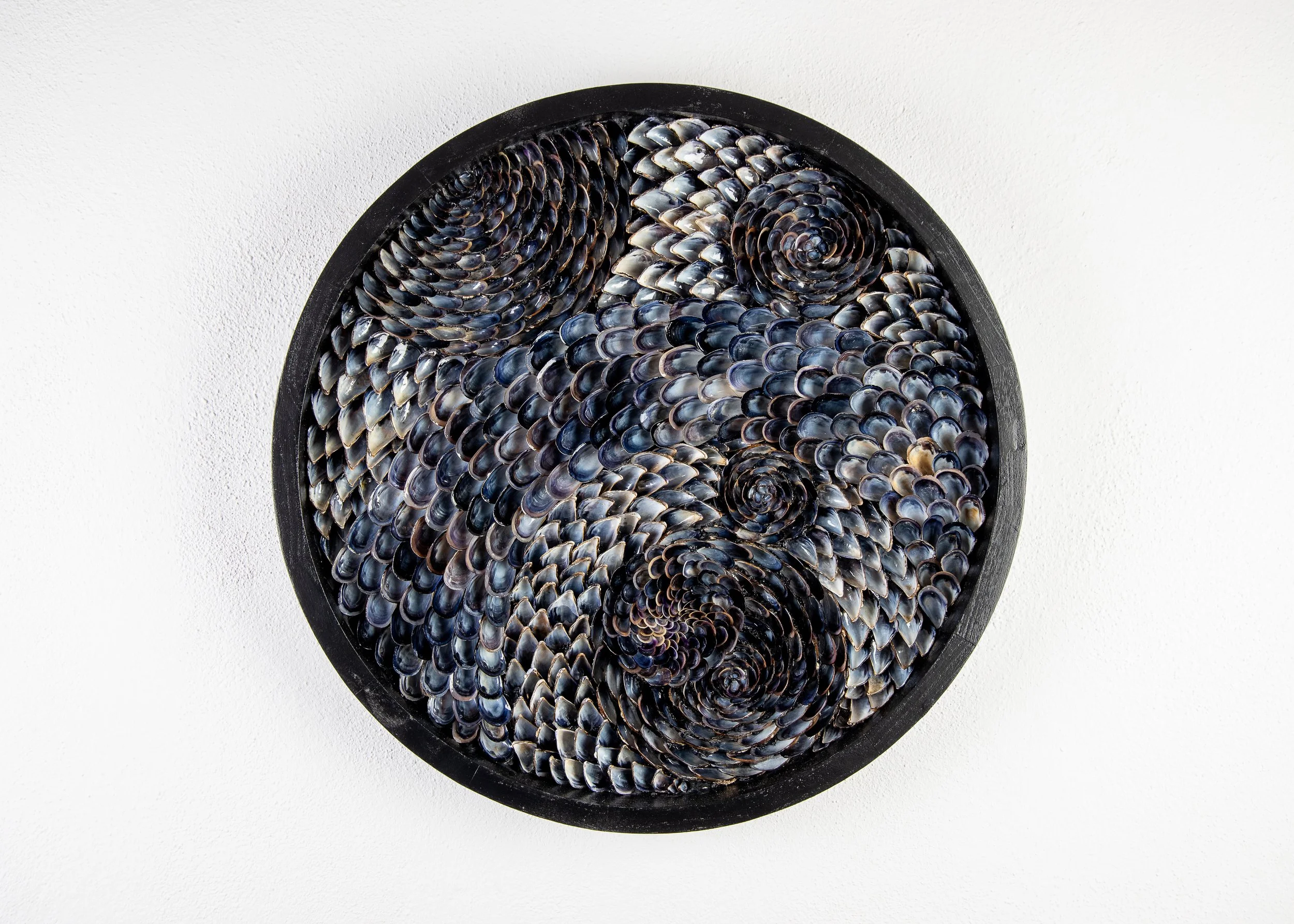 contemporary-shell-wall-art-midnight-tides.jpg