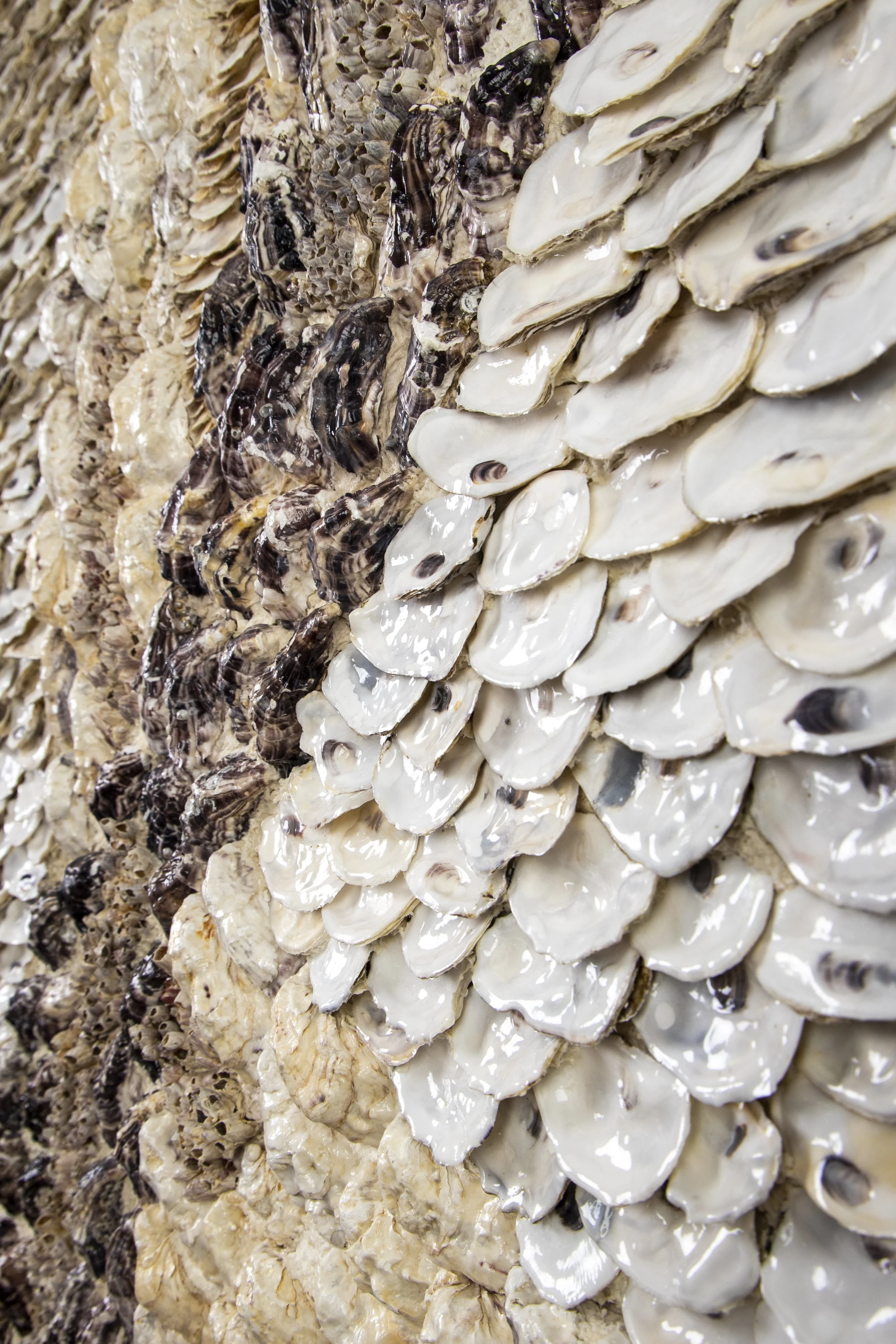 BLUE DNA - Dana Shell Art