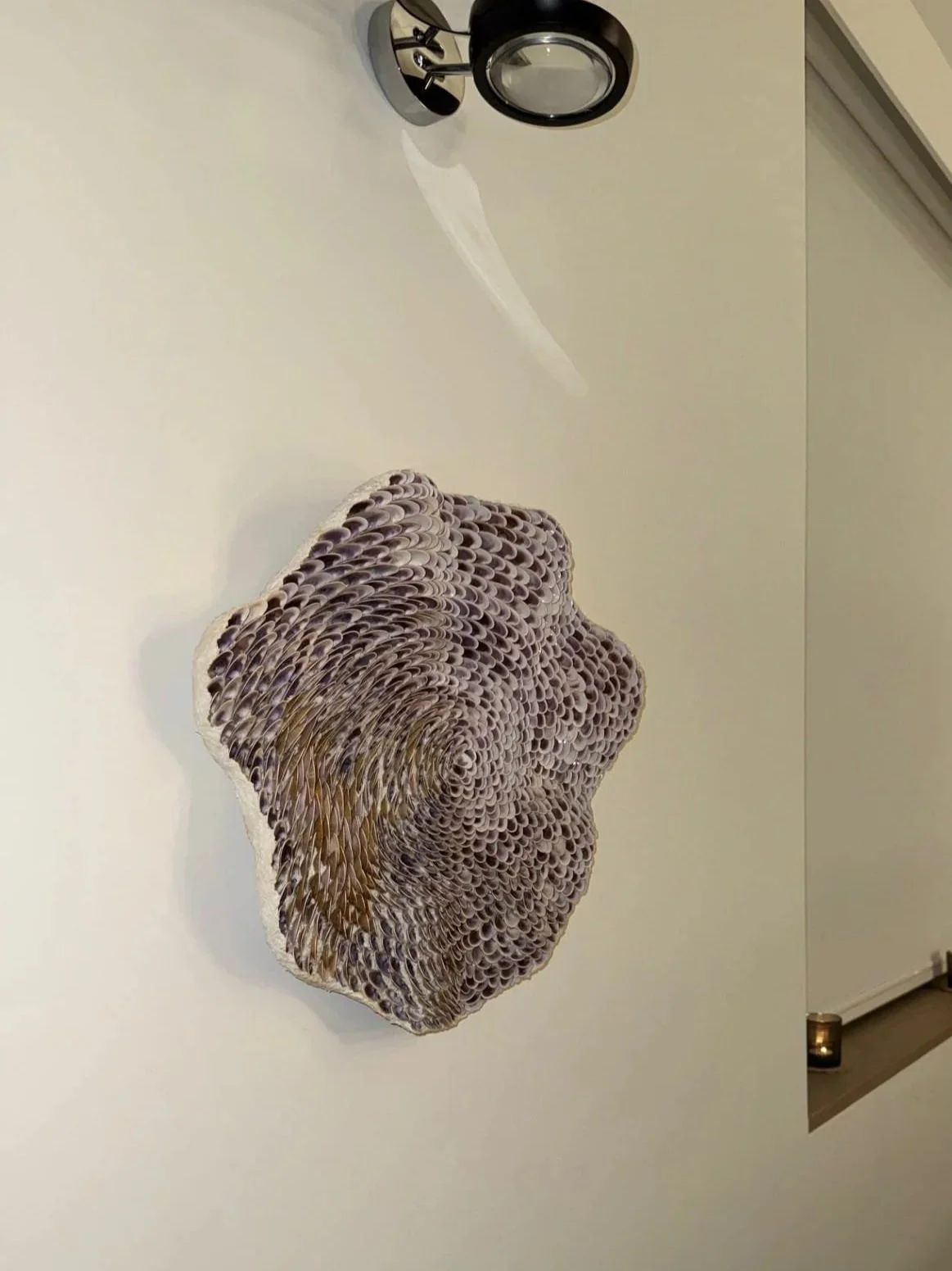 one-of-a-kind sculptural contemporary shell art-wall art-interior design art