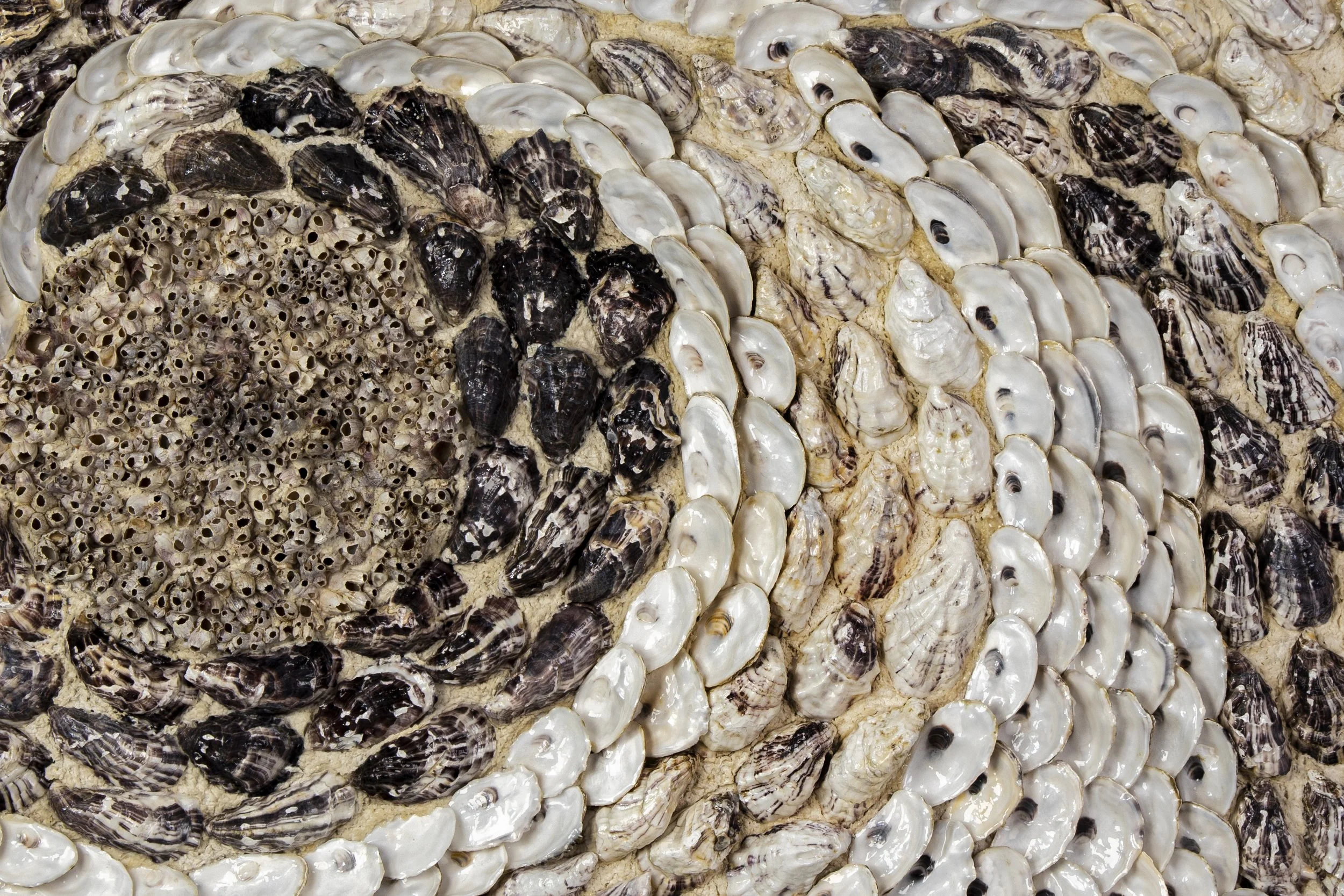 VORTEX (120 x 60 cm )