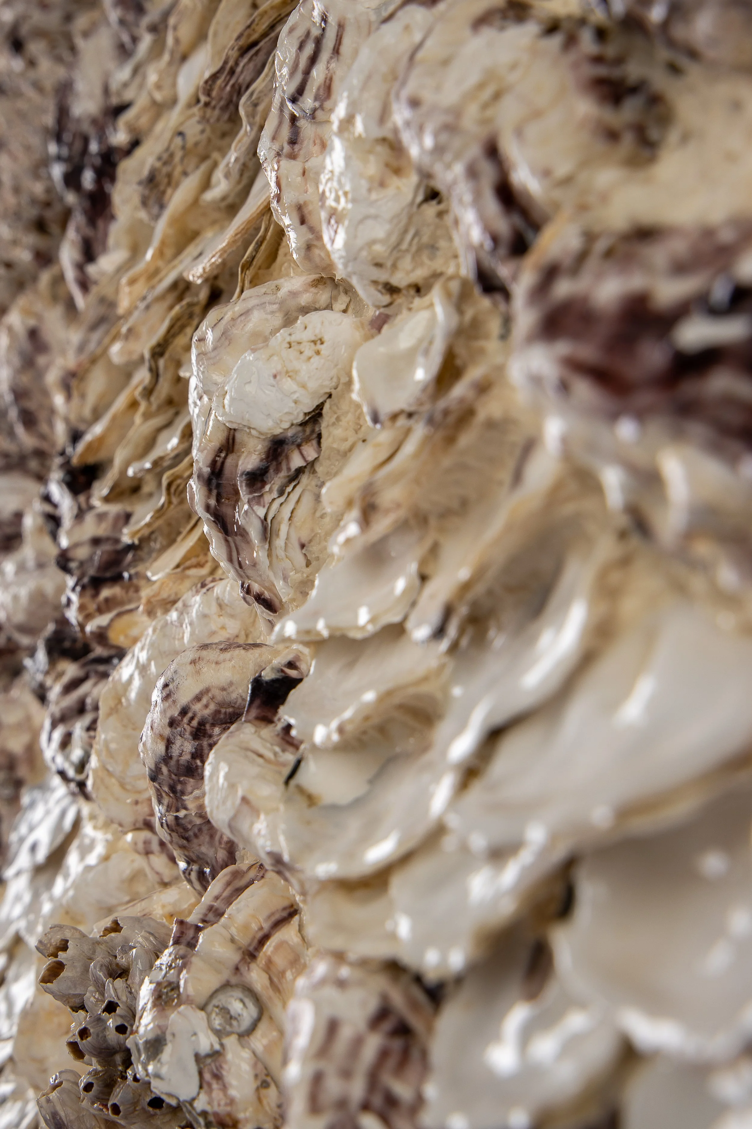 STORM - Dana Shell Art