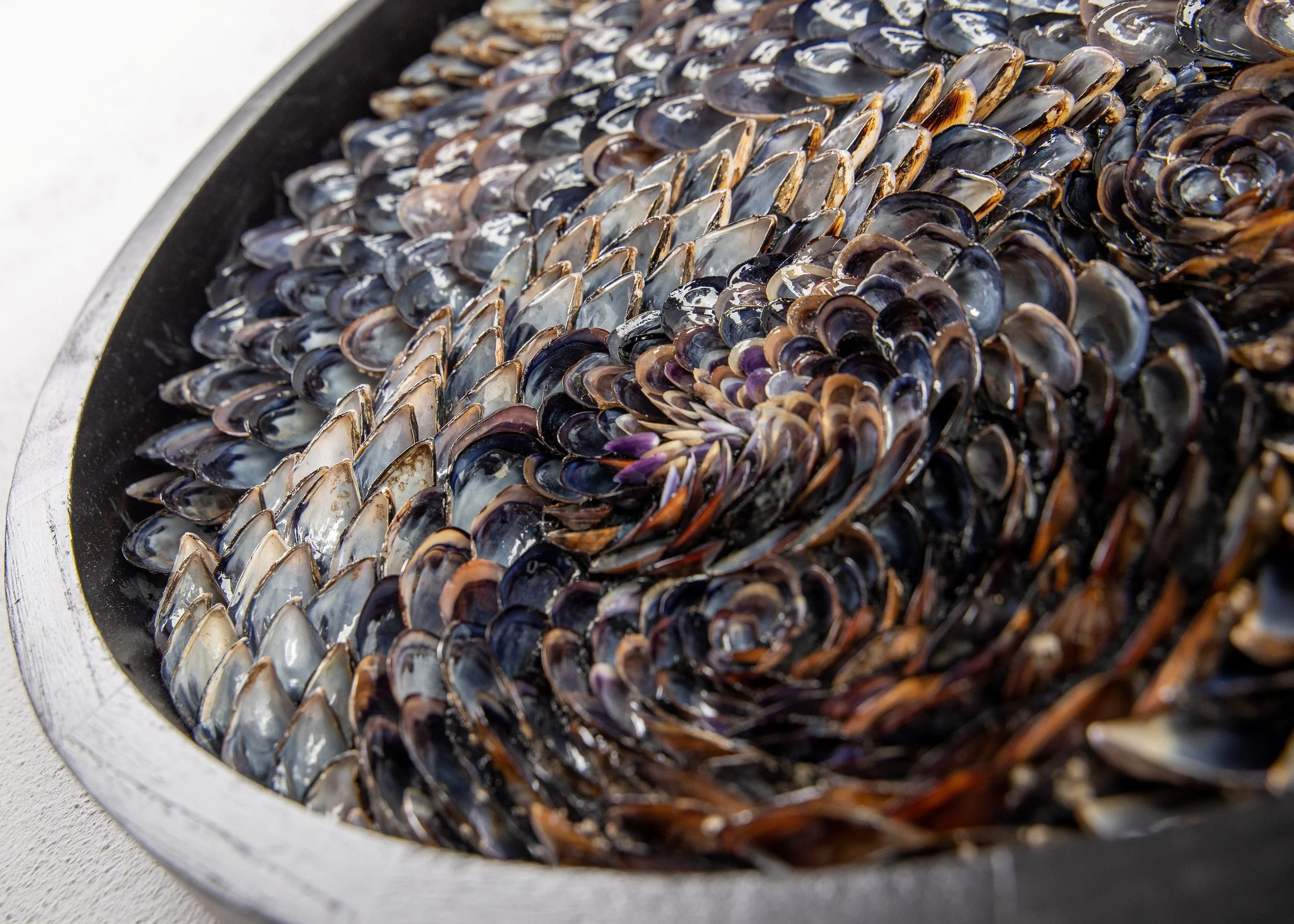 textured blue shell art.jpg