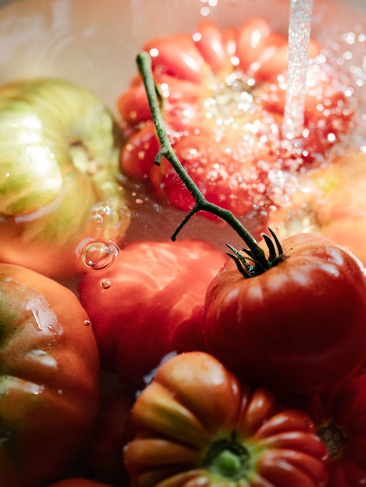 P_POMODORI SOTT'ACQUA 1 PS.jpg