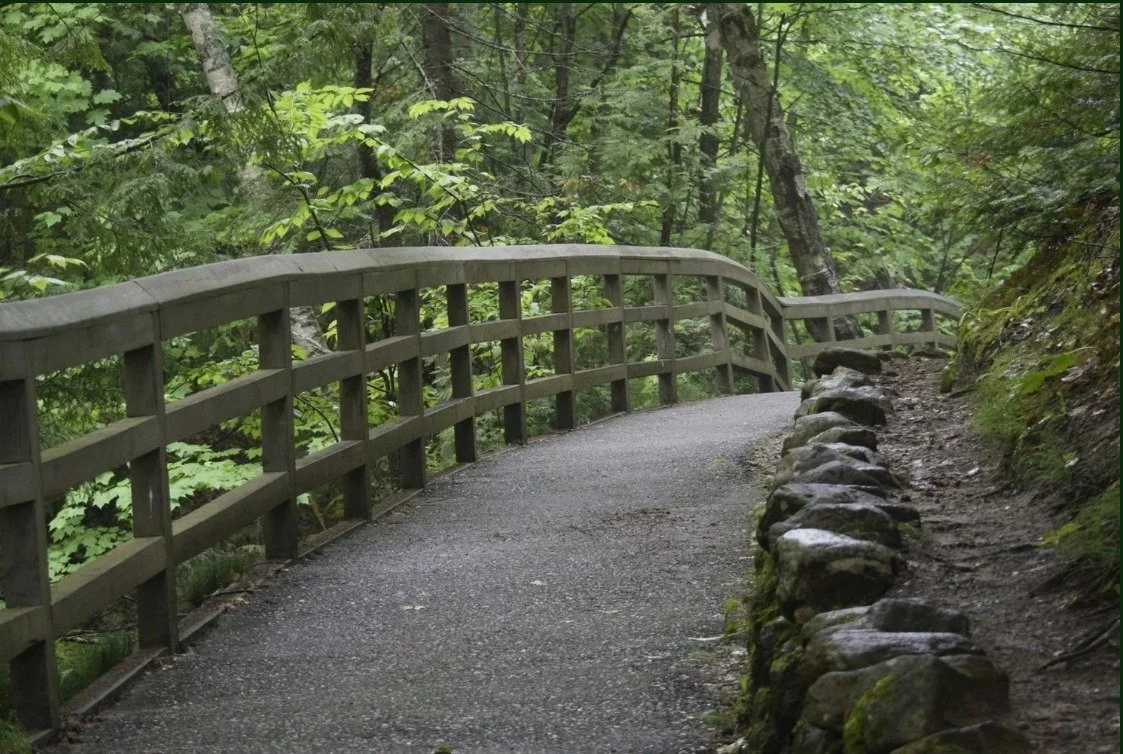Nature Walk
