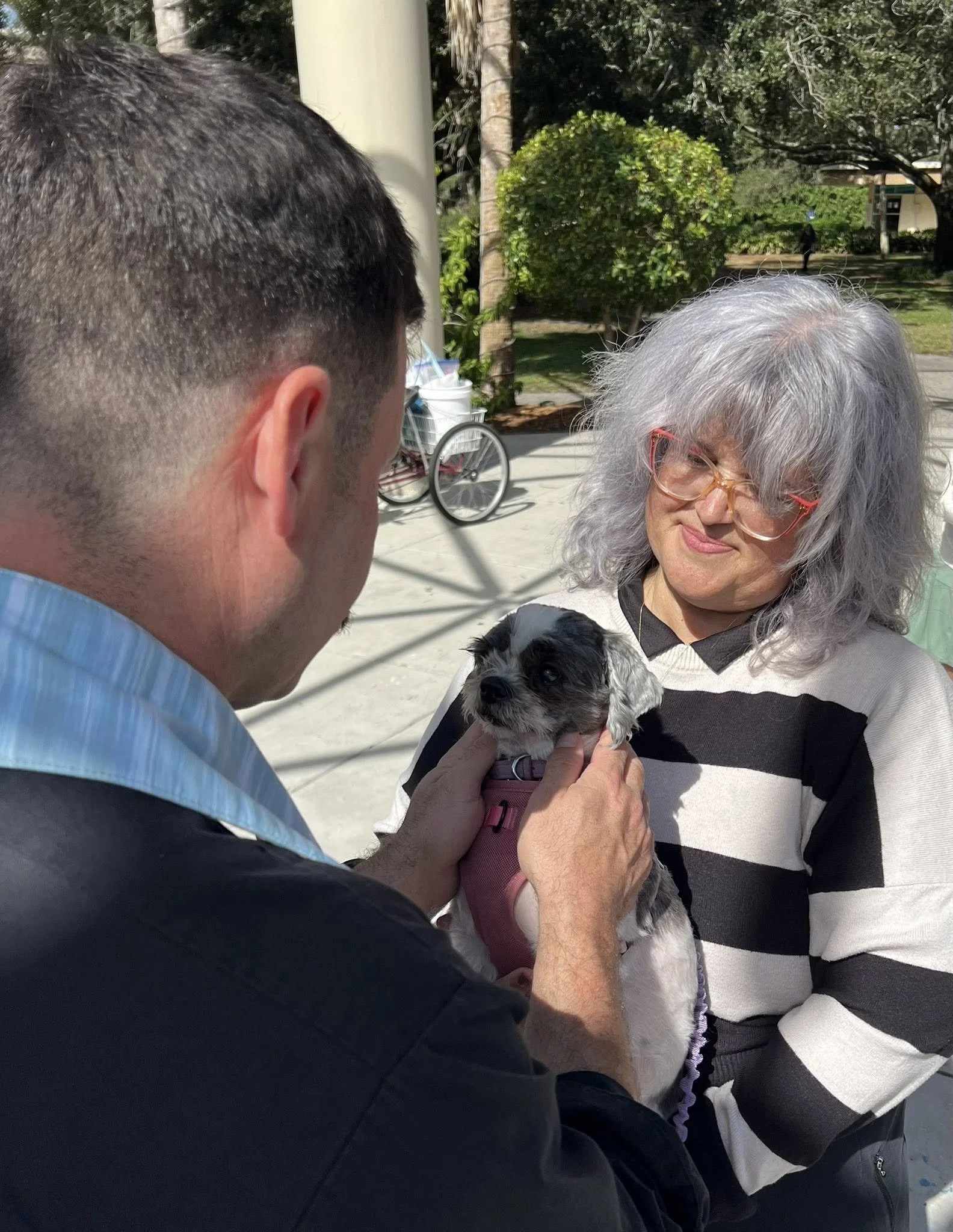 Blessing of the Animals