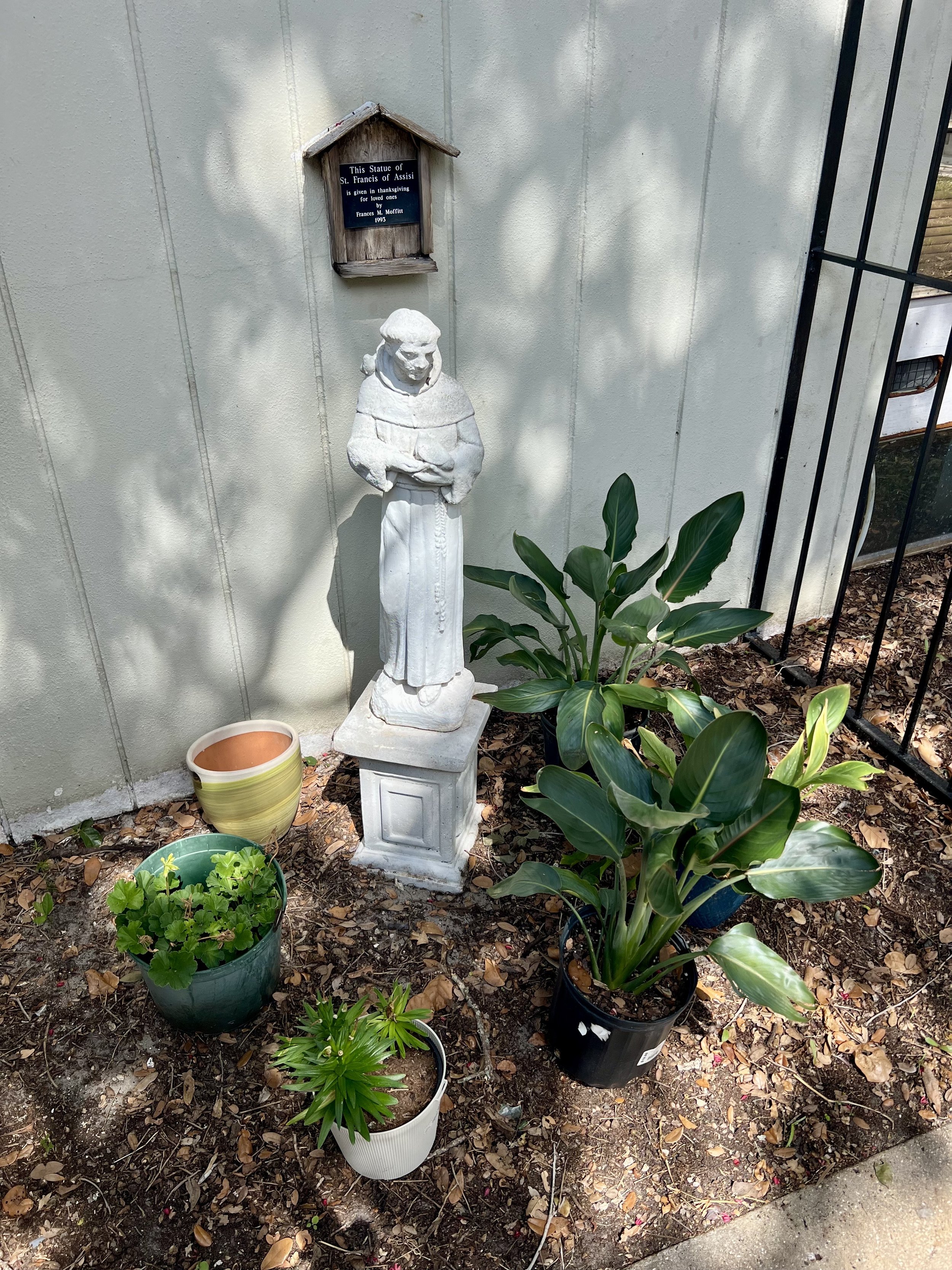 IMG_4342 (1).jpeg