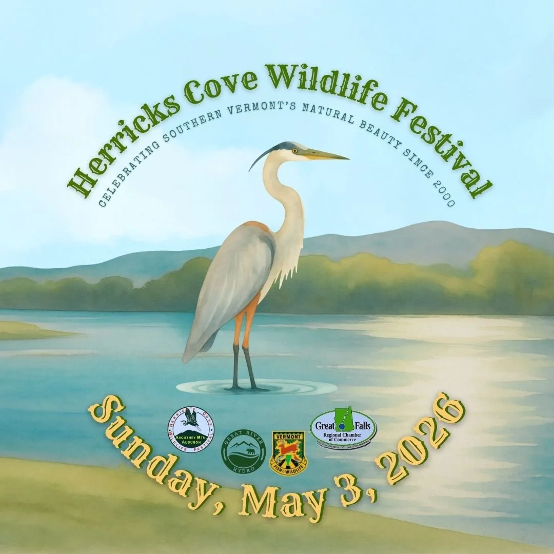 Herricks Cove Wildlife Festival