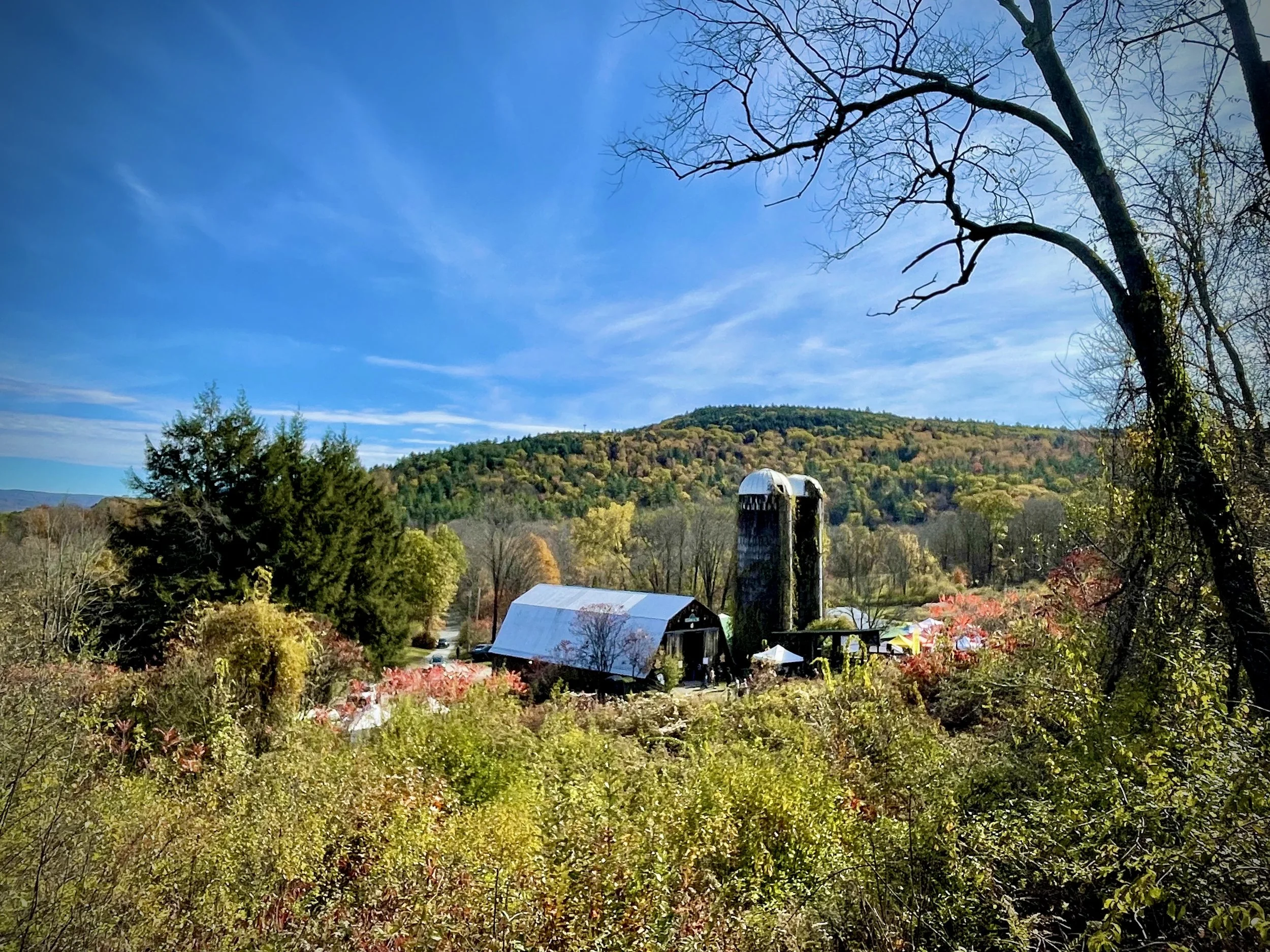 A scenic view of a farm with a barn and silo, surrounded by colorful trees on fall day with a mountain in the background and a mostly clear blue sky.