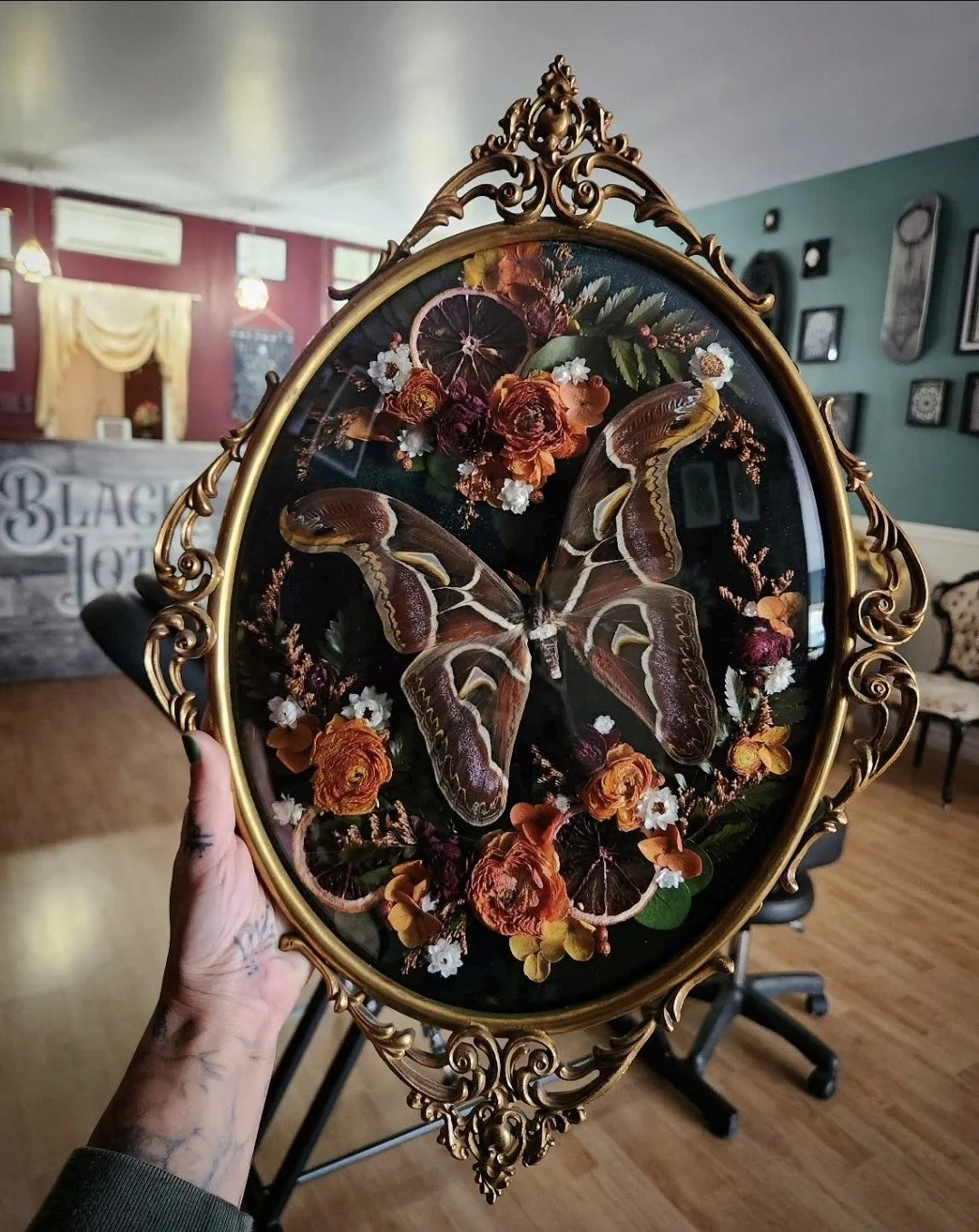 The Atlas Moth